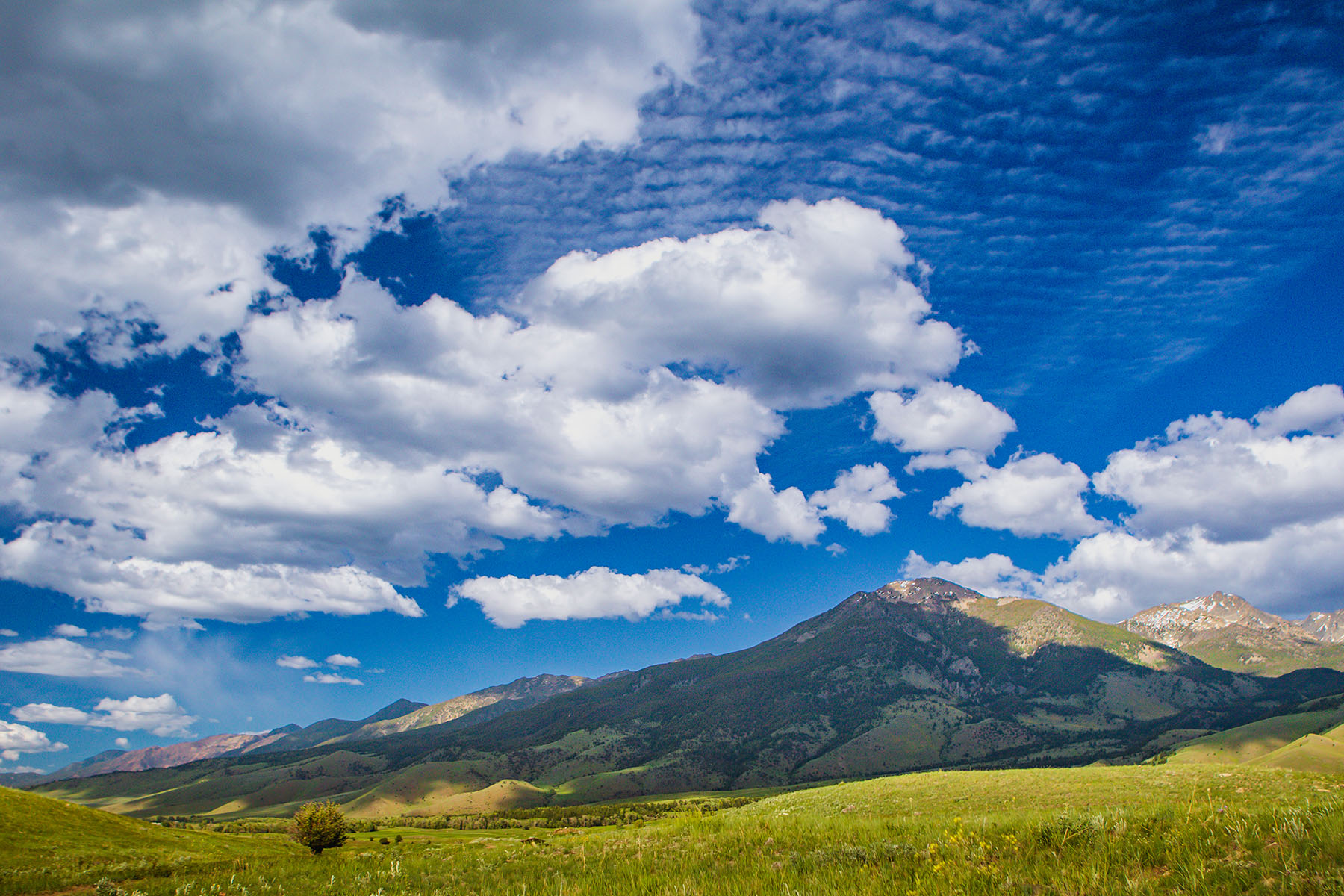 Sitka Ranch property picture 7 of 100