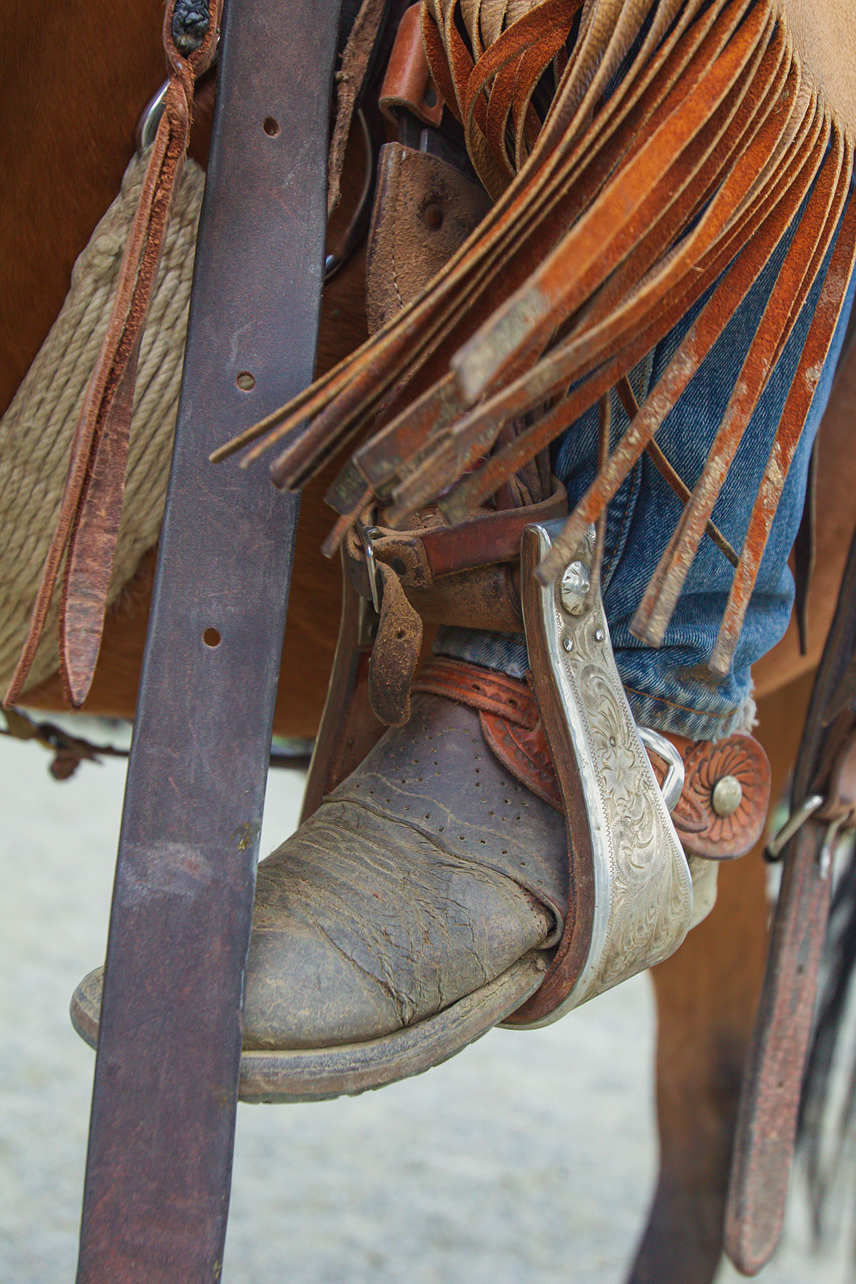 Sitka Ranch property picture 84 of 100