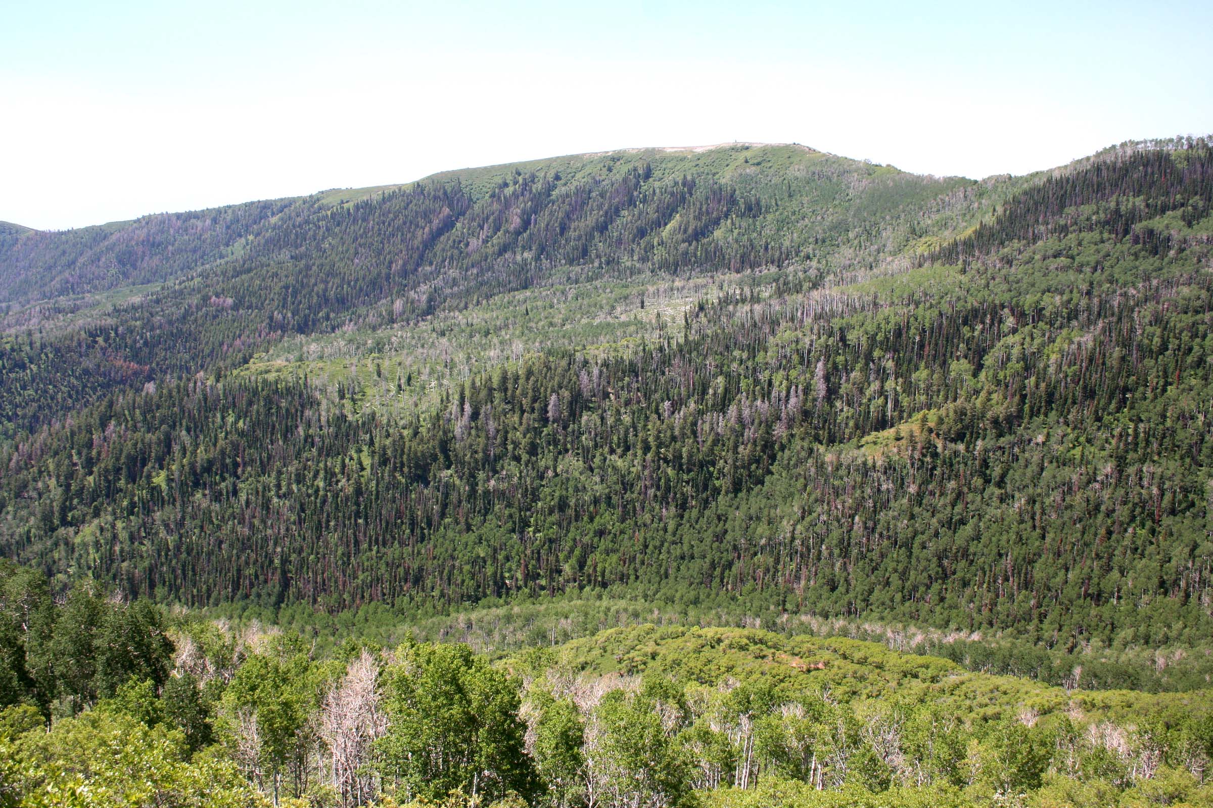 Horse Mountain Ranch property picture 2 of 11