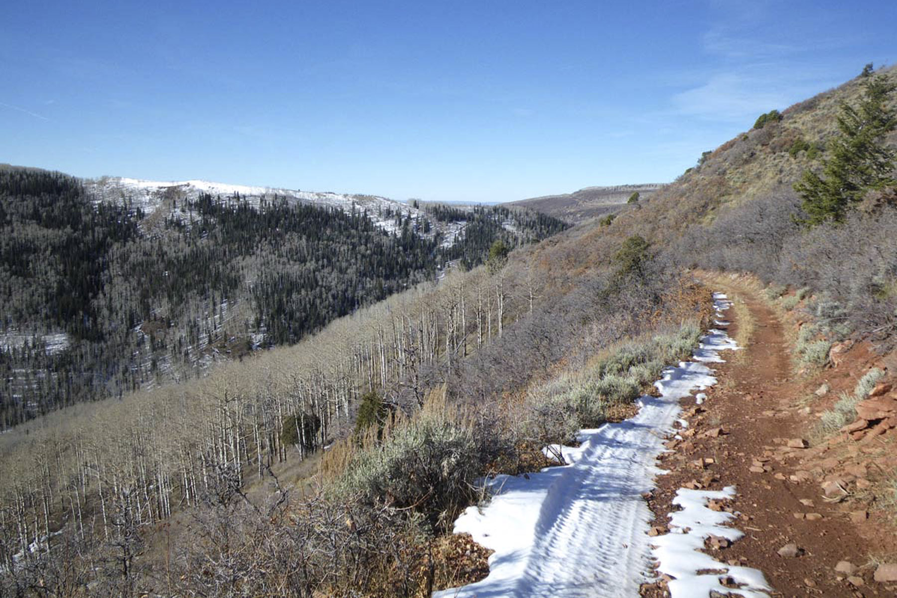 Horse Mountain Ranch property picture 10 of 11