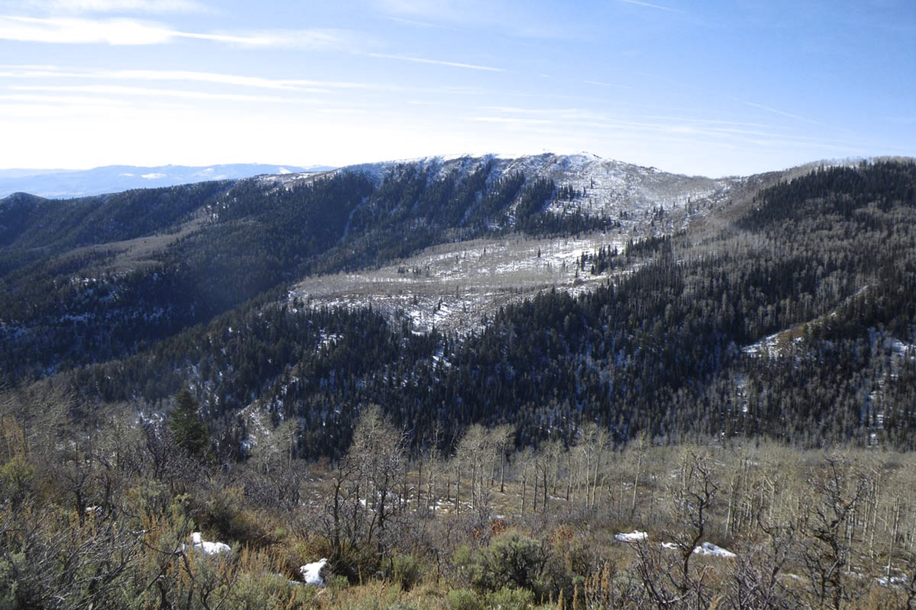 Horse Mountain Ranch property picture 9 of 11