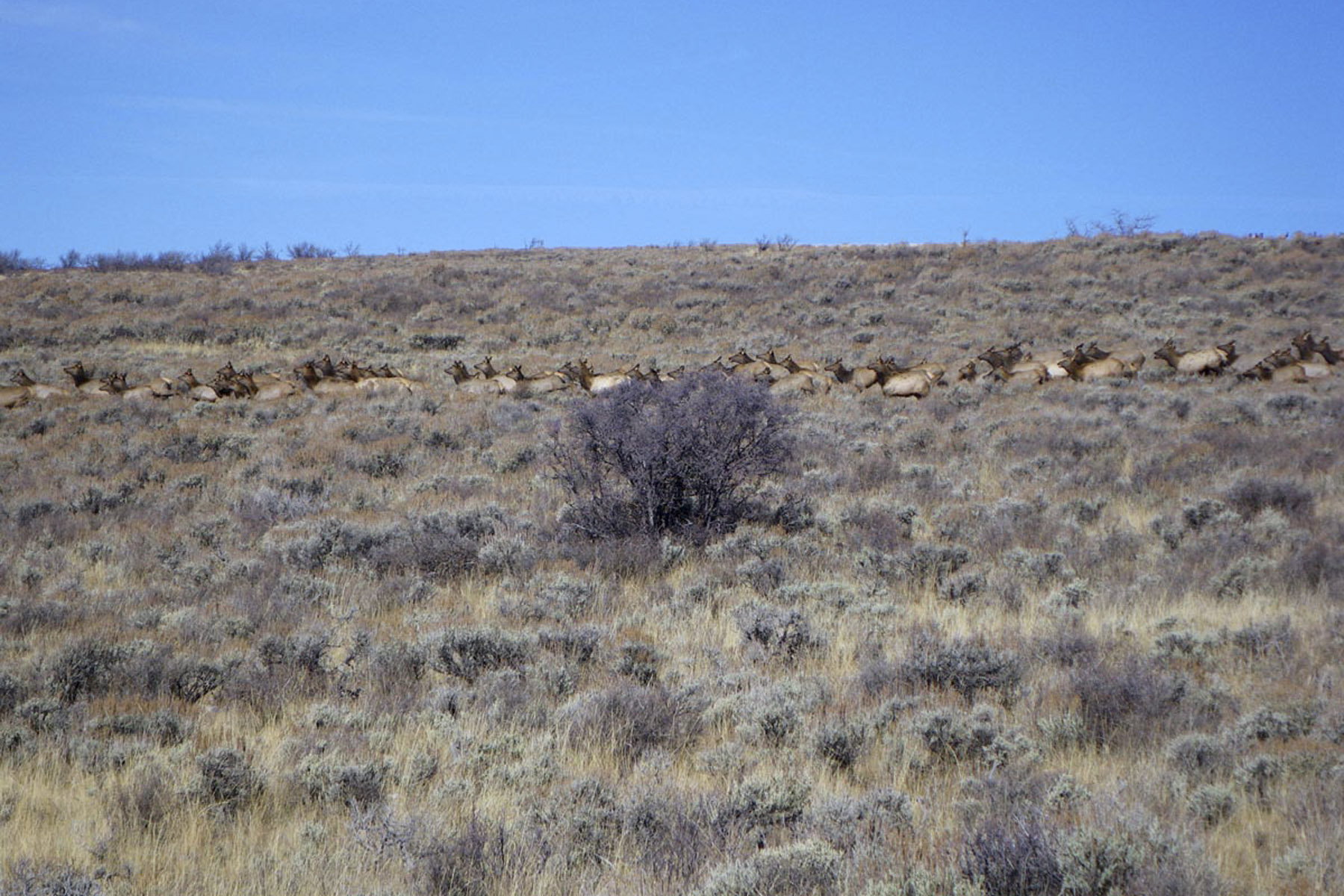 Horse Mountain Ranch property picture 3 of 11