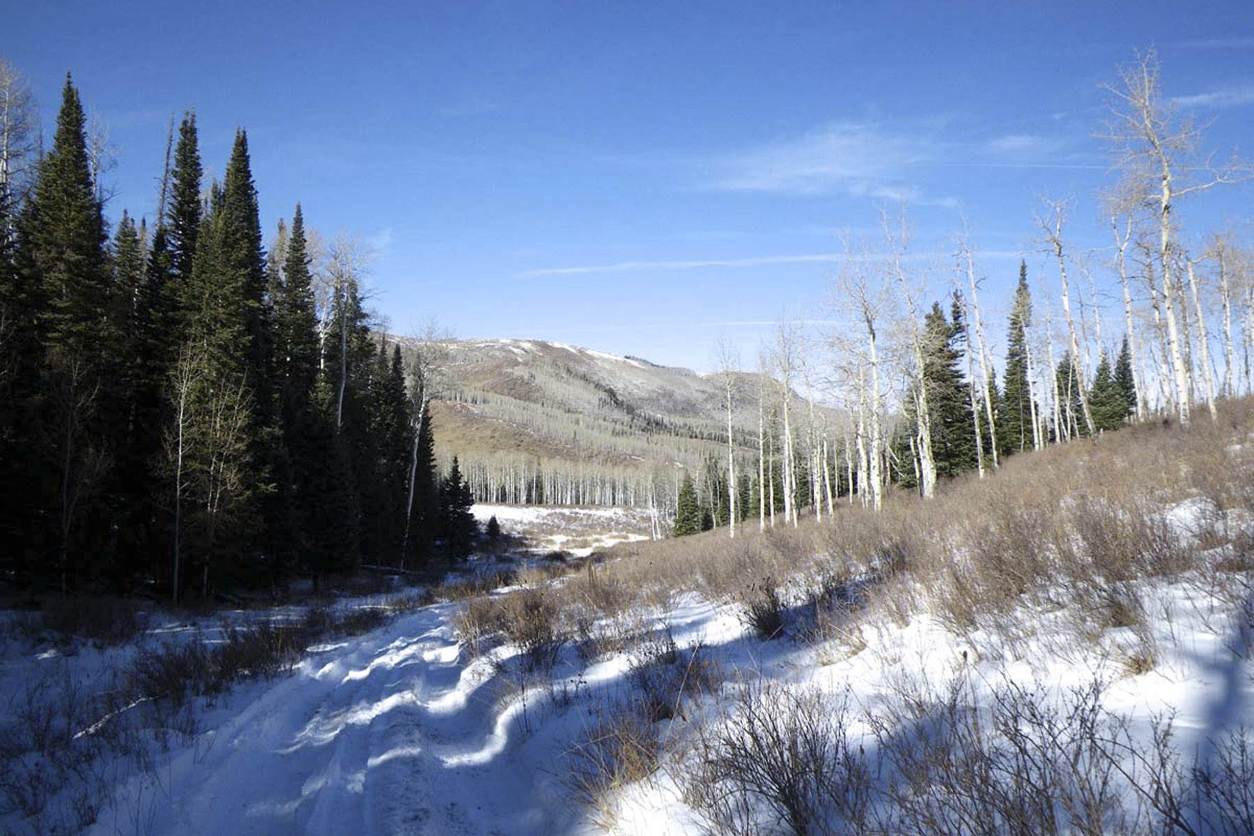 Horse Mountain Ranch property picture 6 of 11