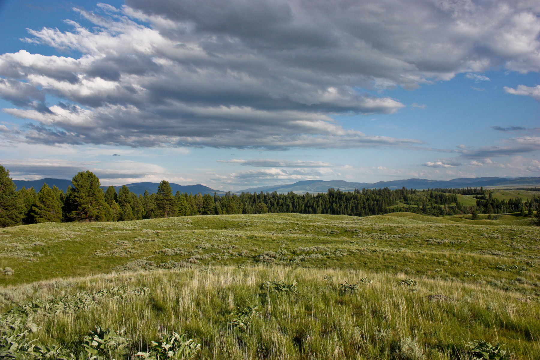 Ovando Mountain Ranch Sold Montana Hall and Hall