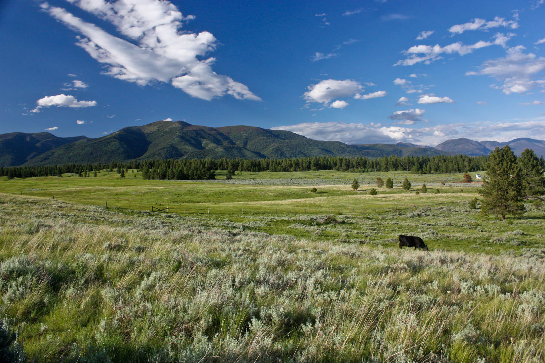 Ovando Mountain Ranch property picture 29 of 39