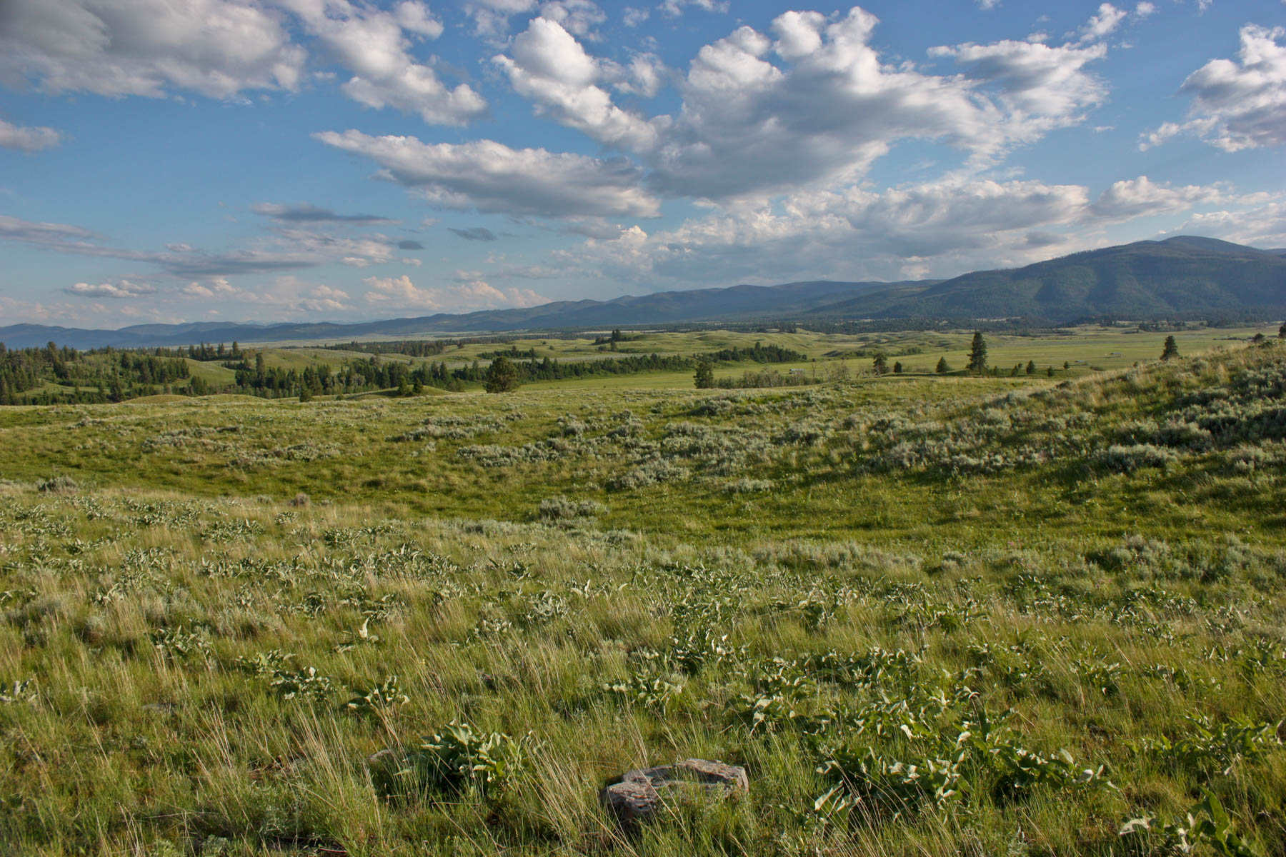 Ovando Mountain Ranch property picture 30 of 39