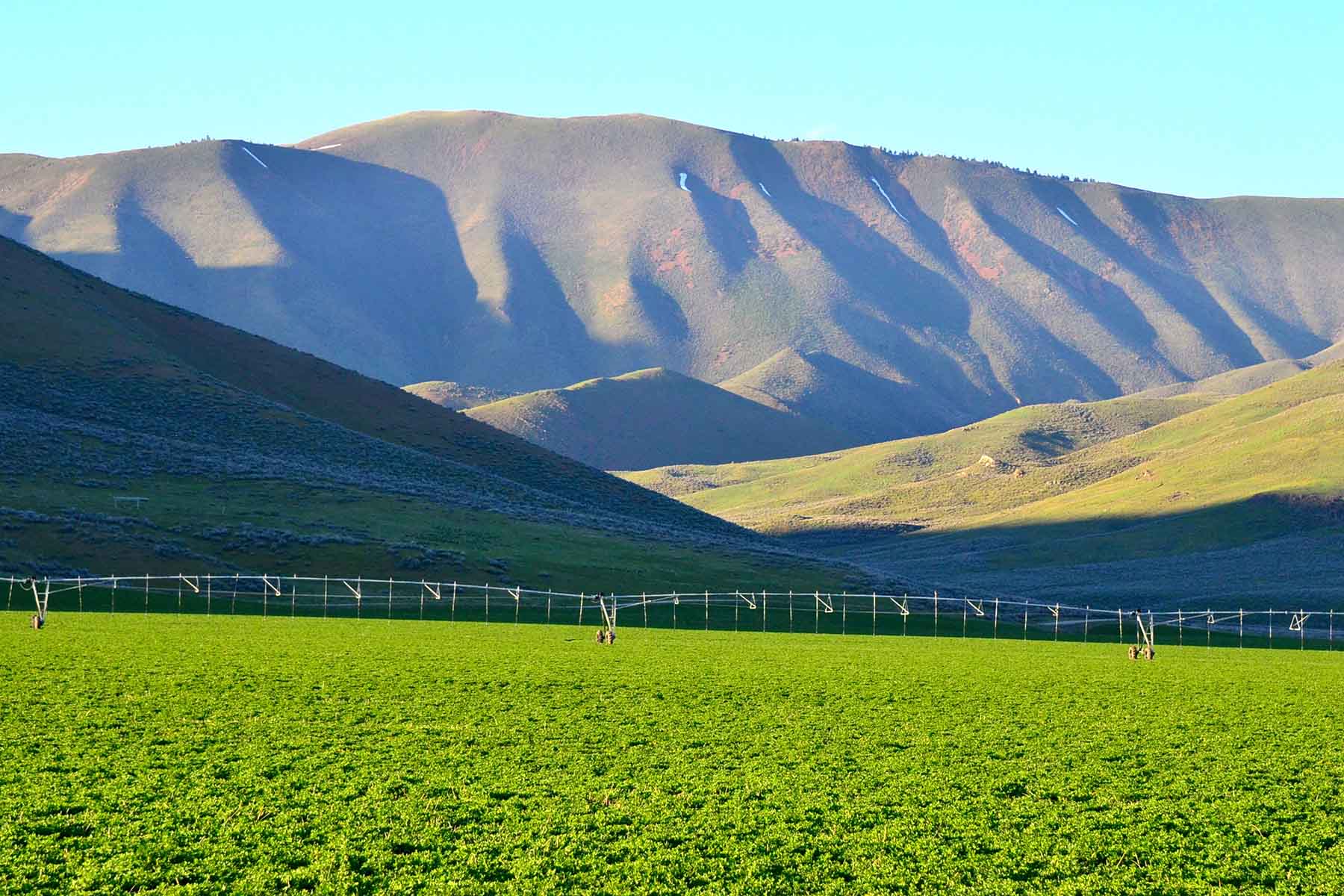 Cove Ranch property picture 2 of 57