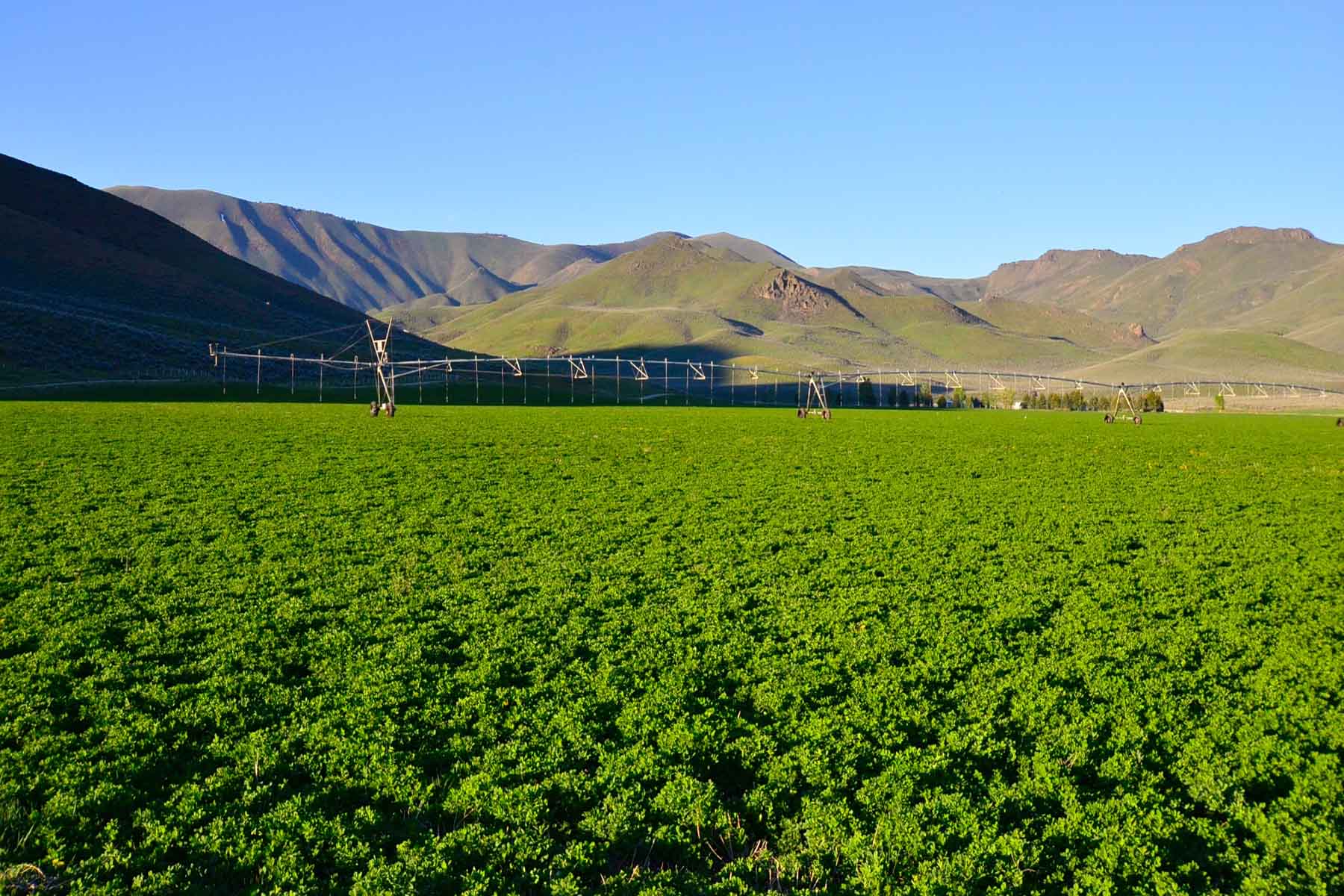 Cove Ranch property picture 3 of 57