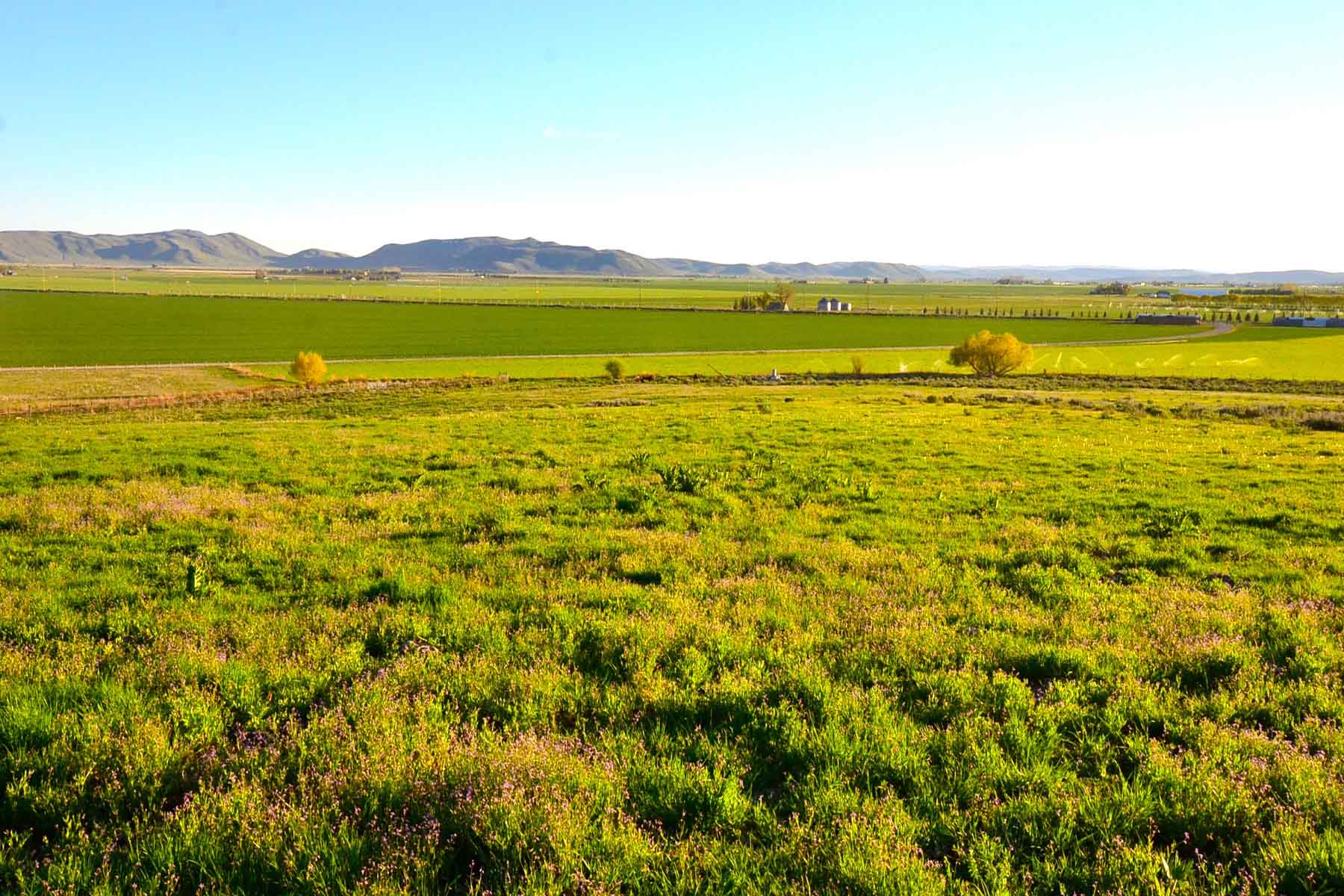 Cove Ranch property picture 4 of 57