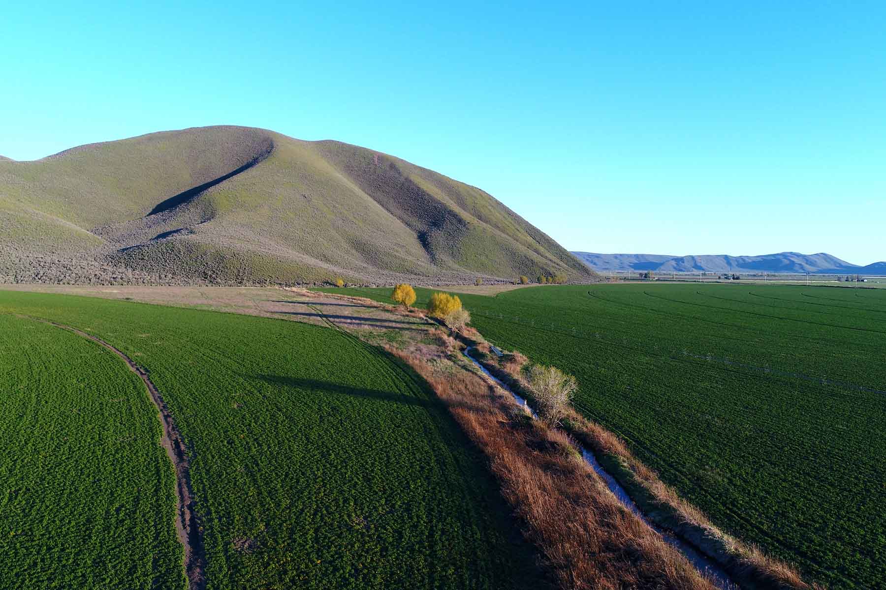 Cove Ranch property picture 5 of 57