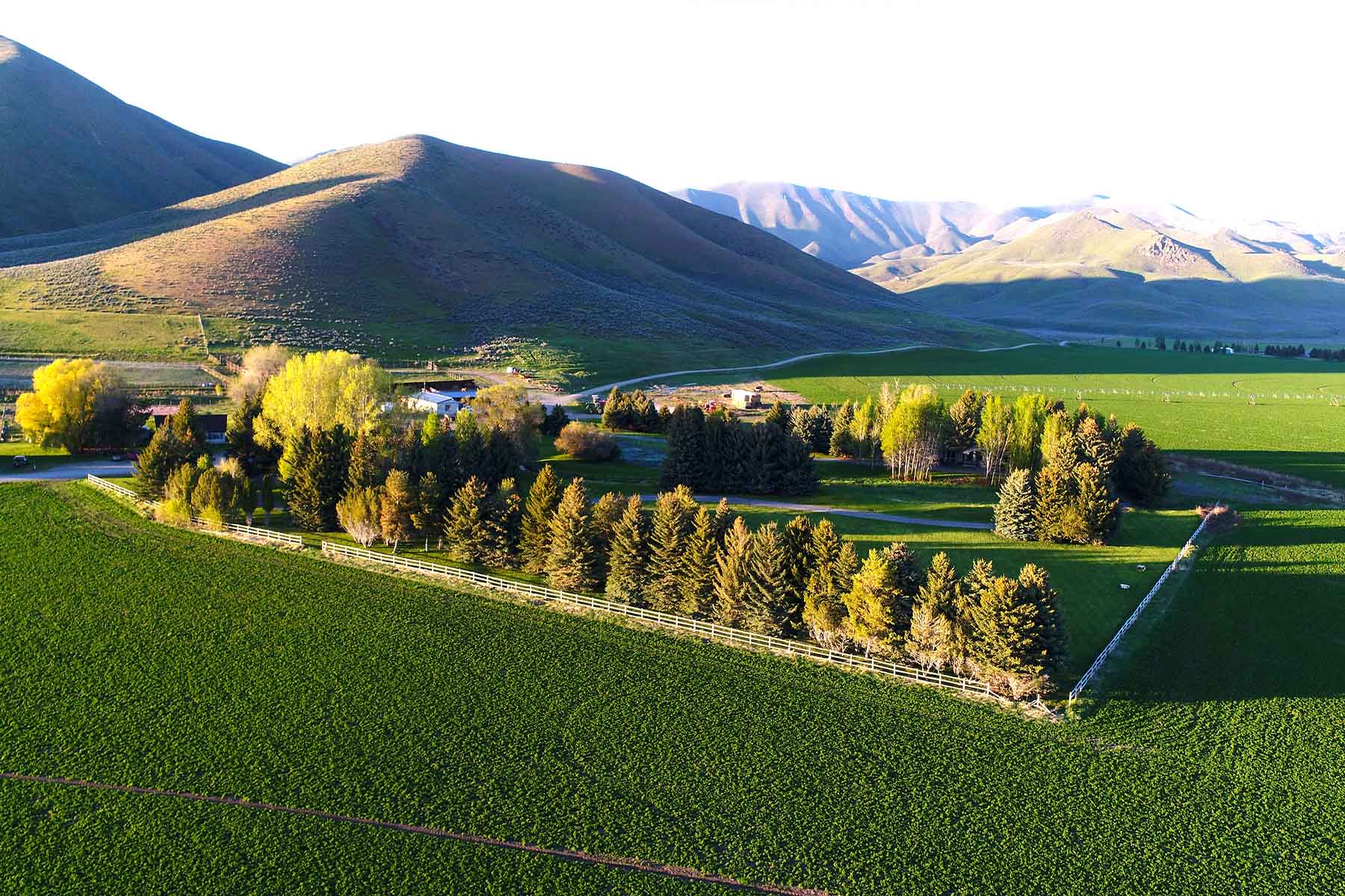 Cove Ranch property picture 6 of 57