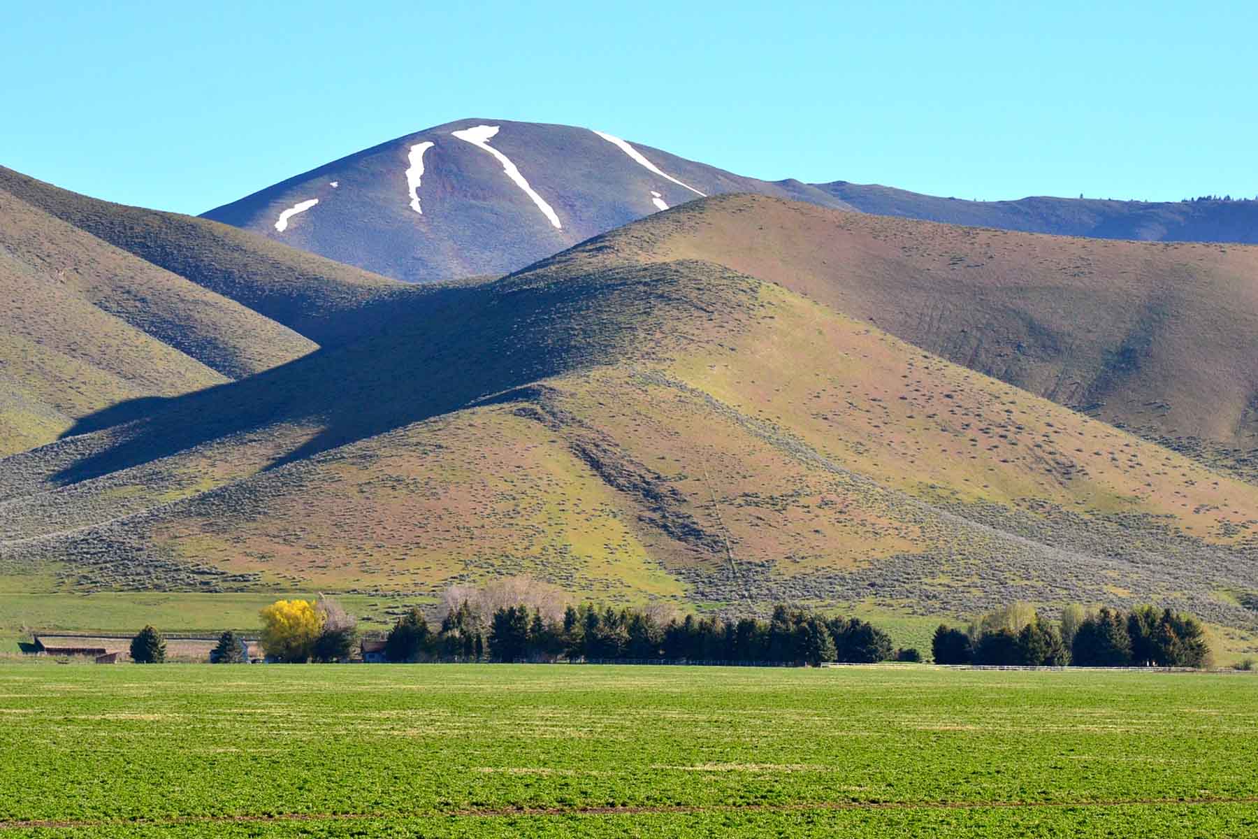 Cove Ranch property picture 8 of 57