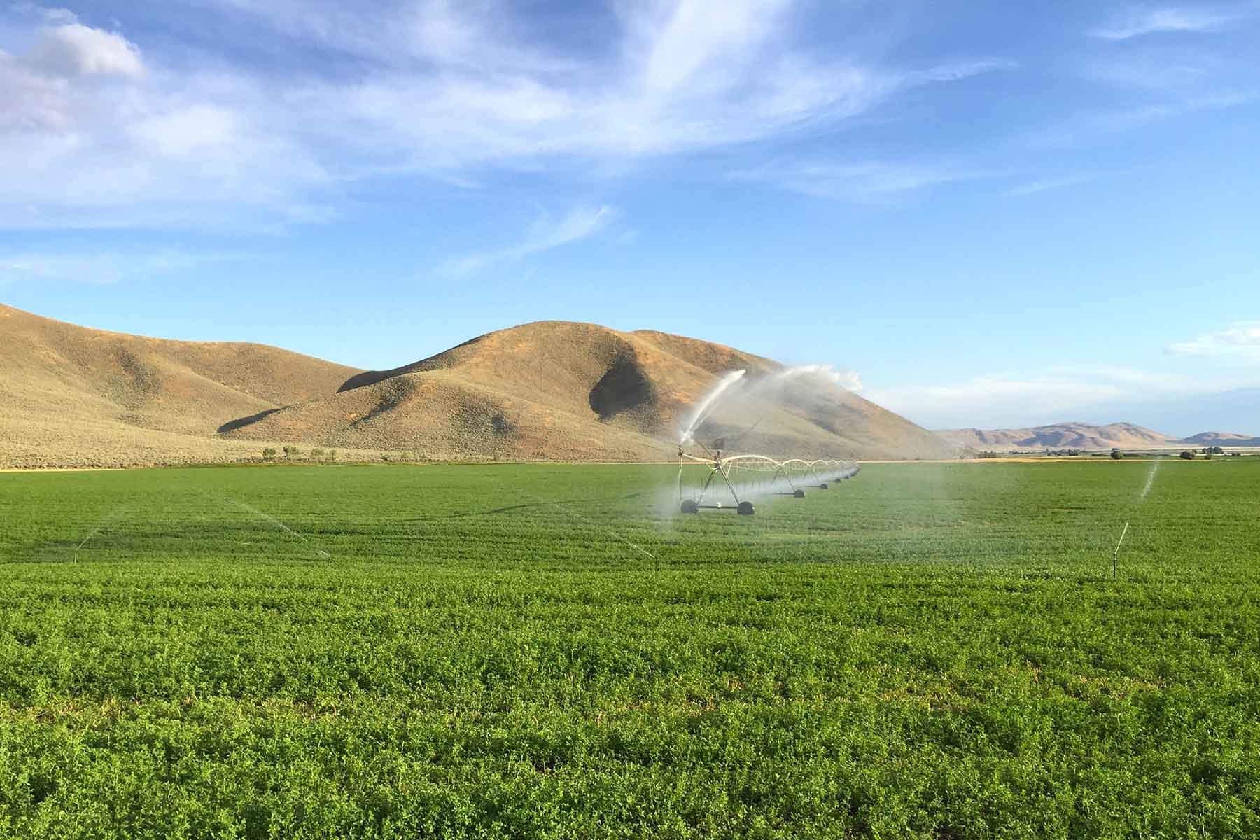 Cove Ranch property picture 9 of 57