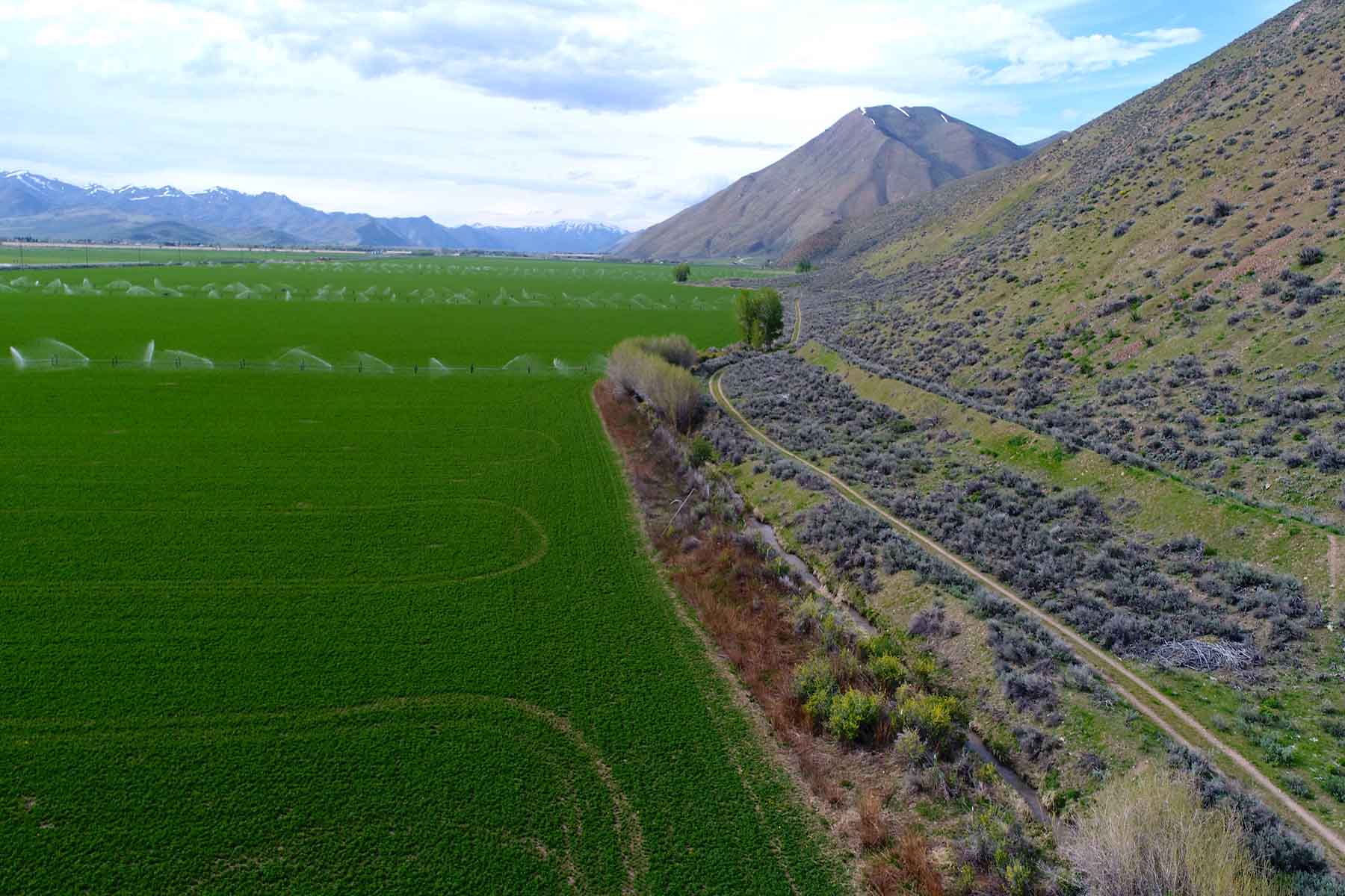 Cove Ranch property picture 10 of 57