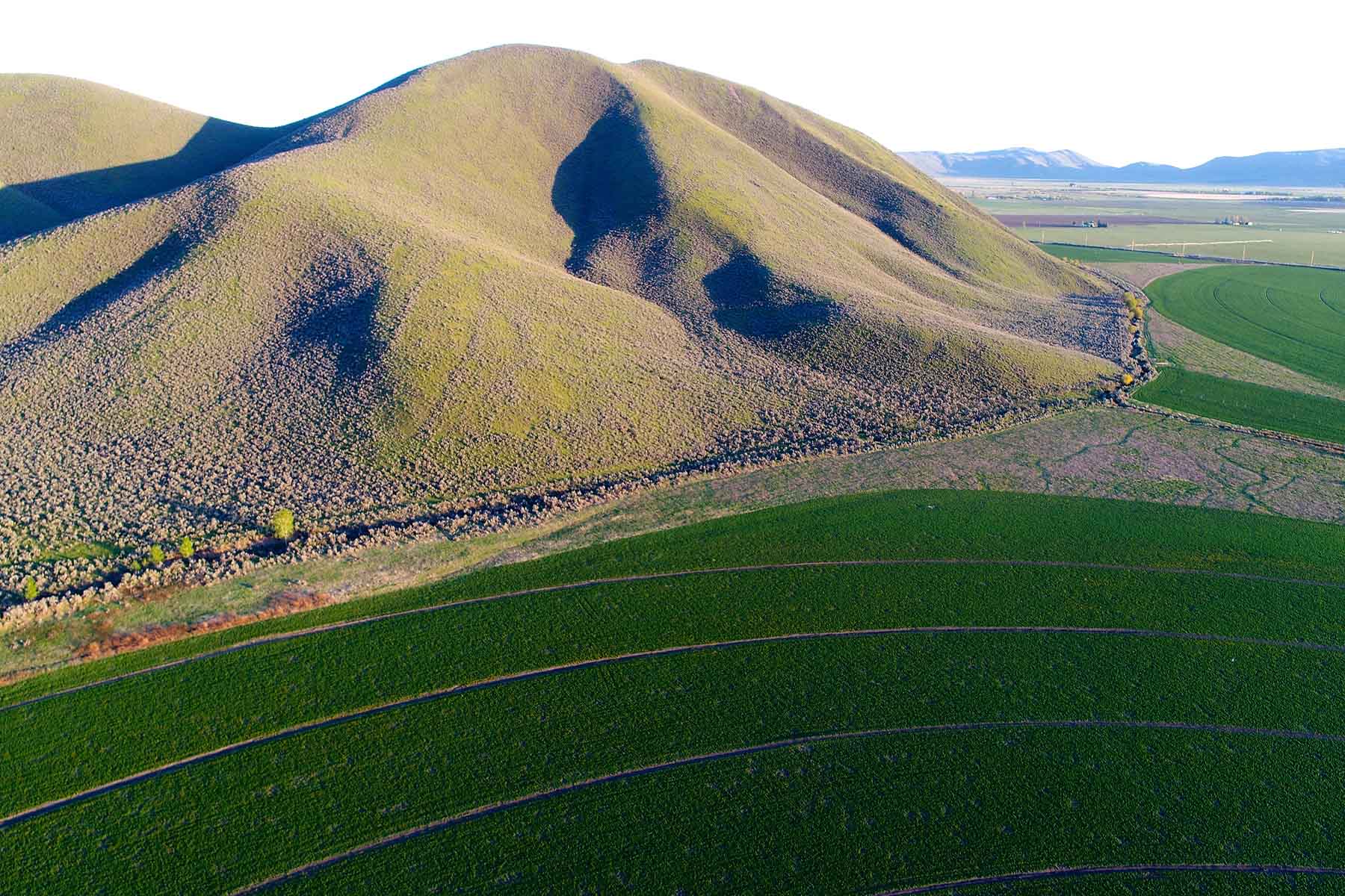 Cove Ranch property picture 11 of 57