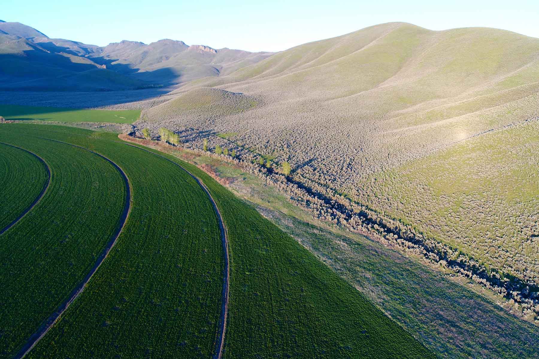 Cove Ranch property picture 12 of 57