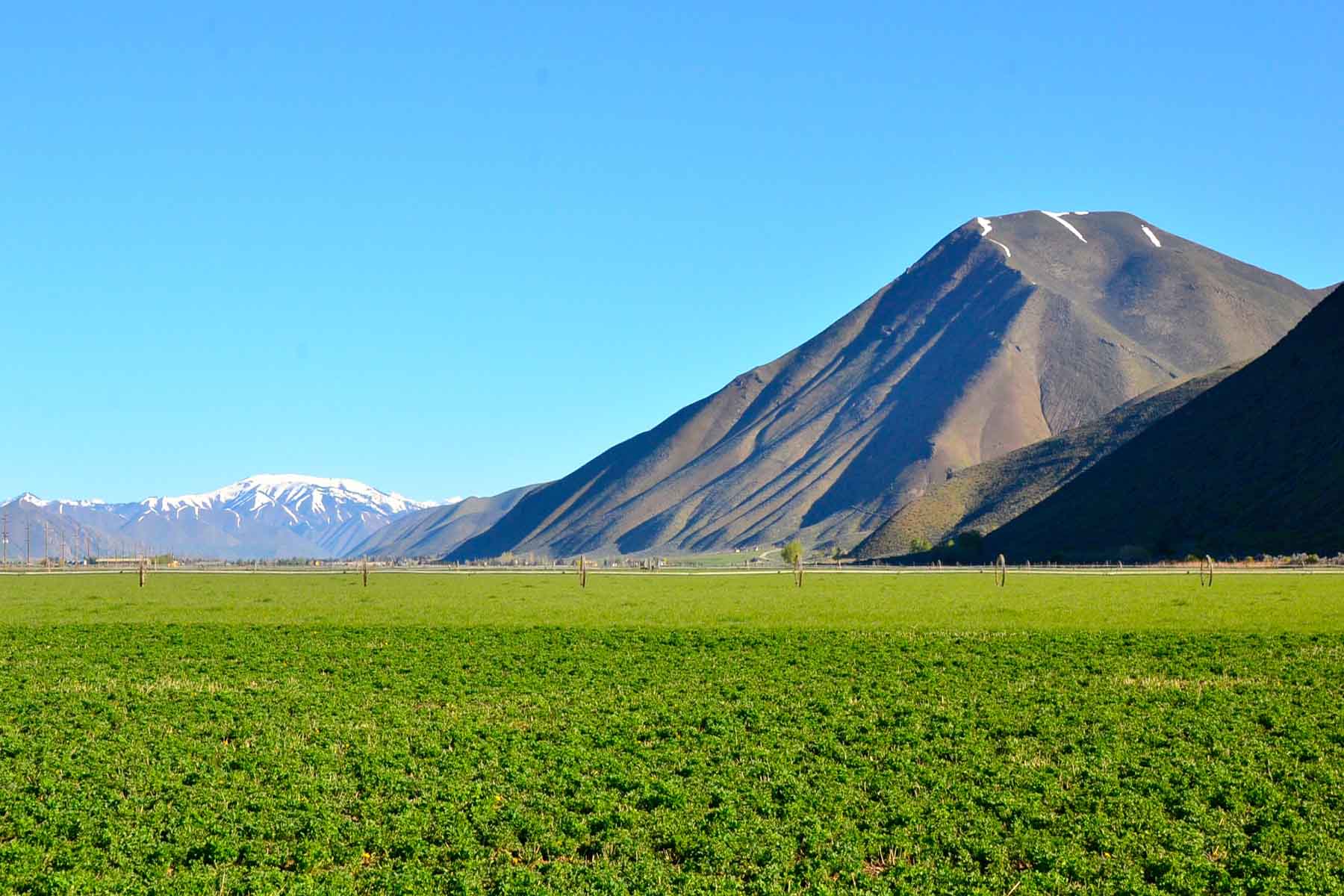 Cove Ranch property picture 14 of 57