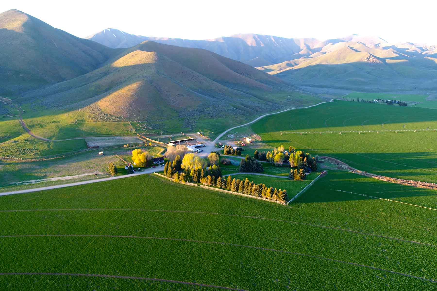 Cove Ranch property picture 15 of 57