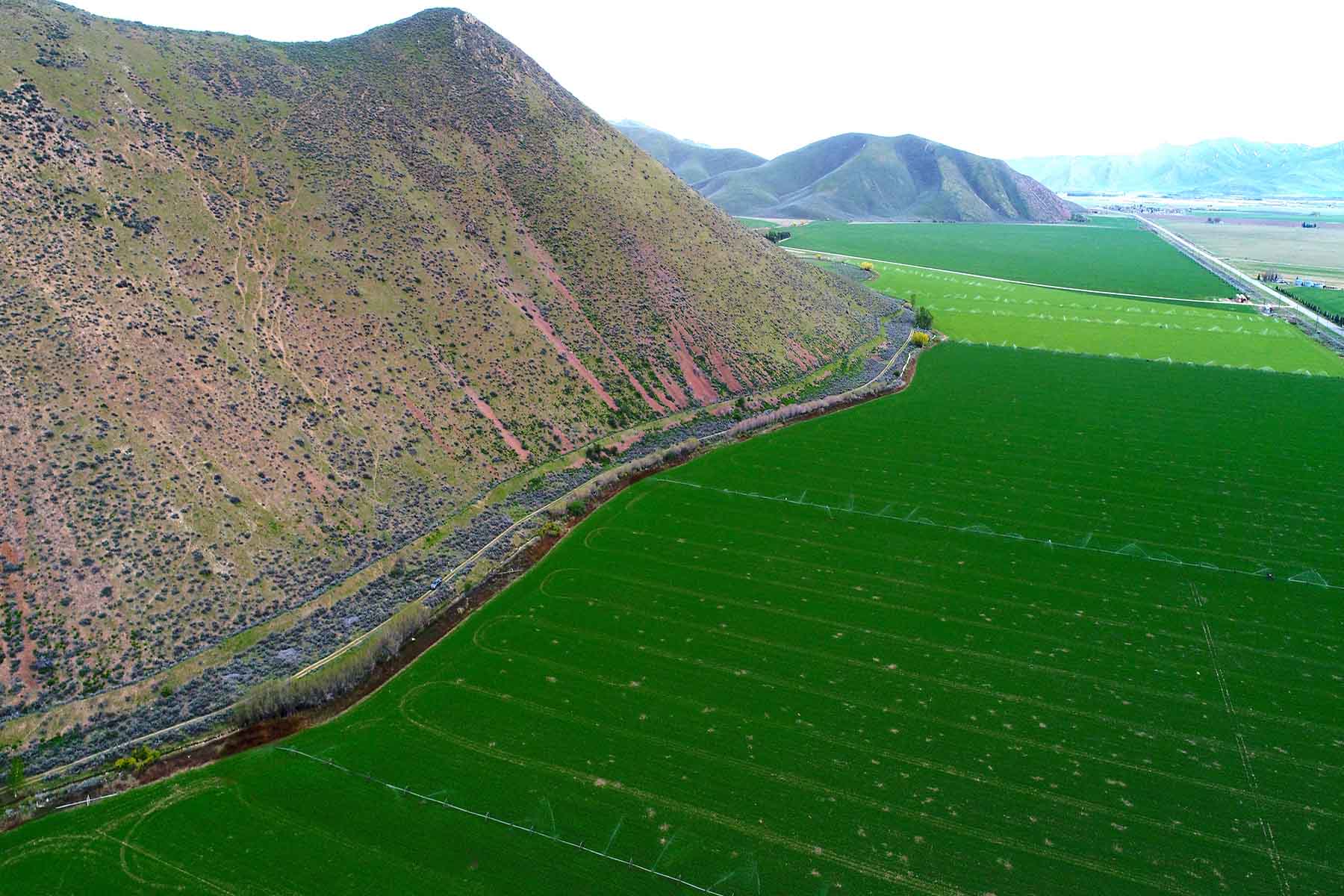 Cove Ranch property picture 17 of 57