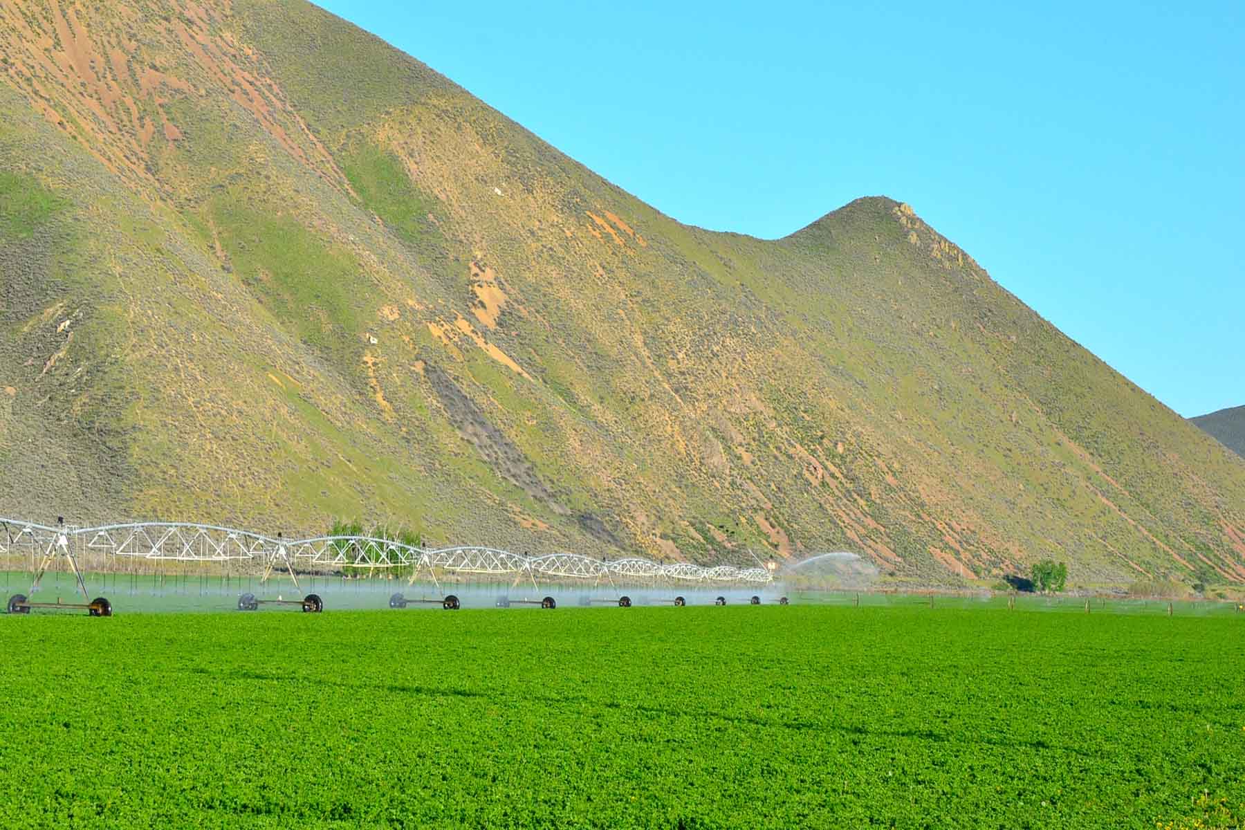 Cove Ranch property picture 18 of 57