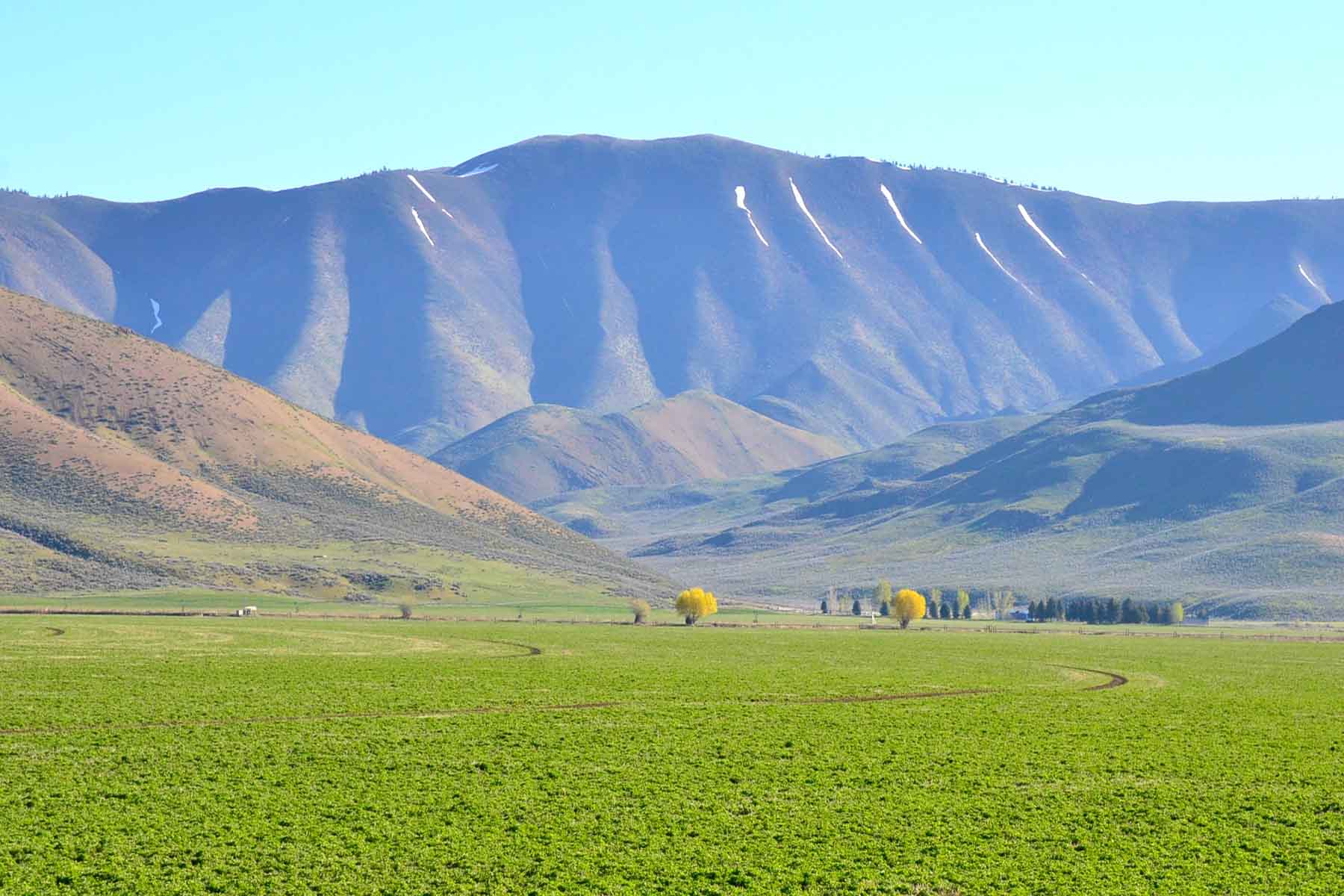 Cove Ranch property picture 19 of 57