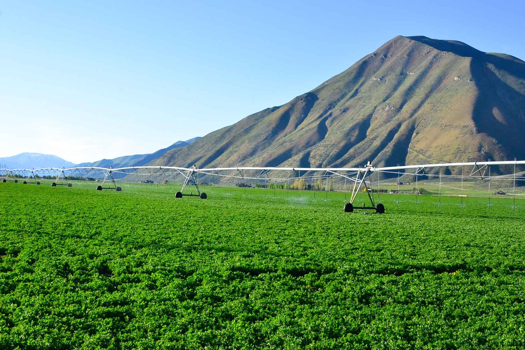 Cove Ranch property picture 20 of 57