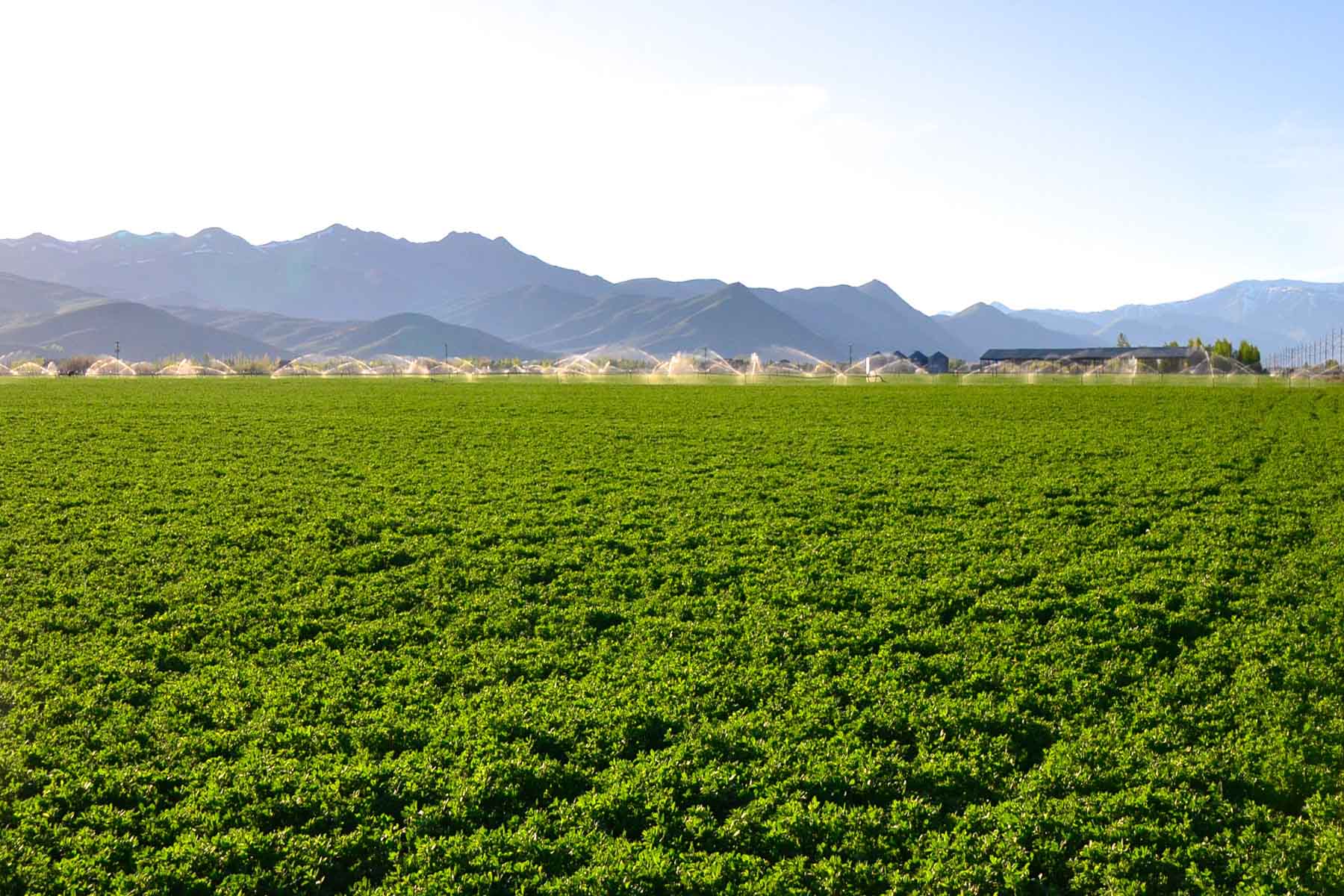 Cove Ranch property picture 21 of 57