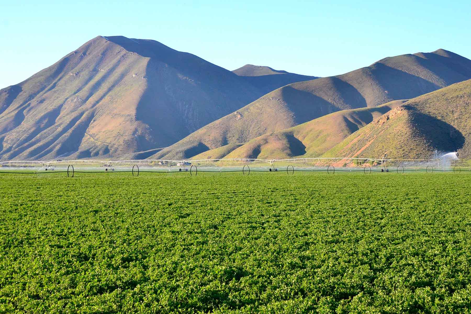 Cove Ranch property picture 22 of 57