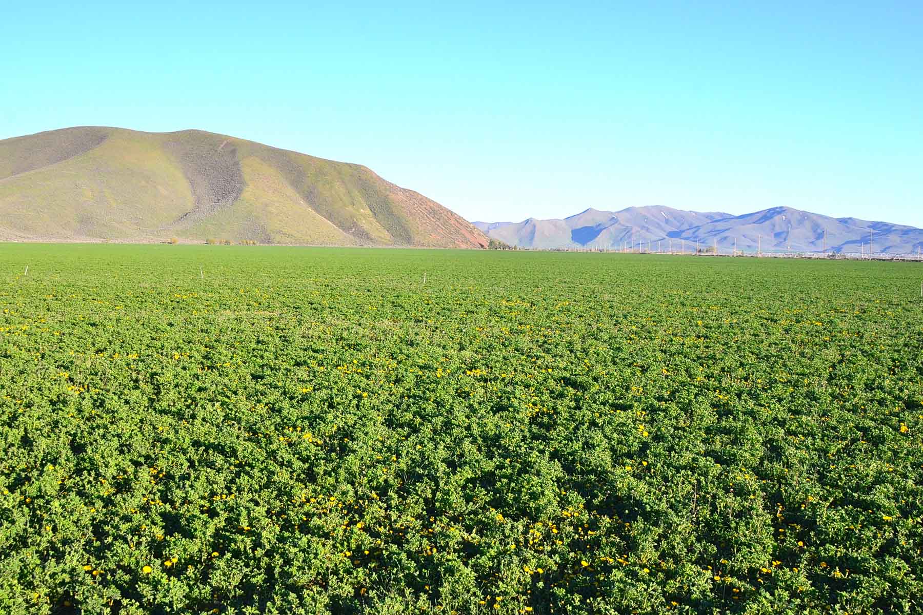 Cove Ranch property picture 23 of 57