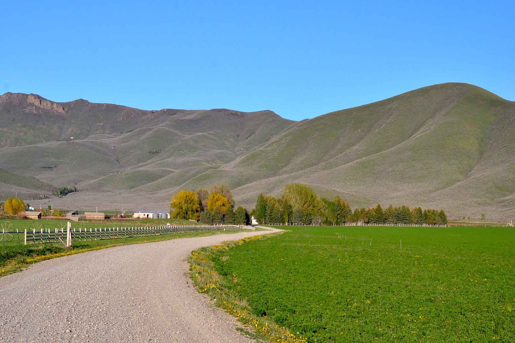 Cove Ranch property picture 24 of 57