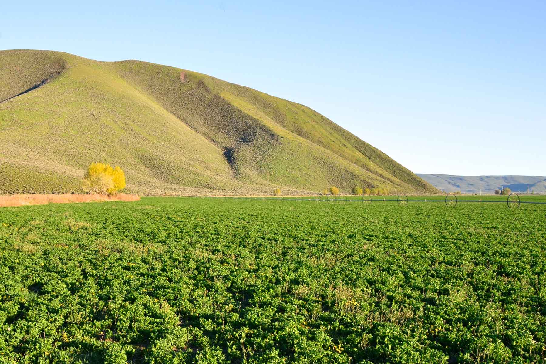 Cove Ranch property picture 25 of 57