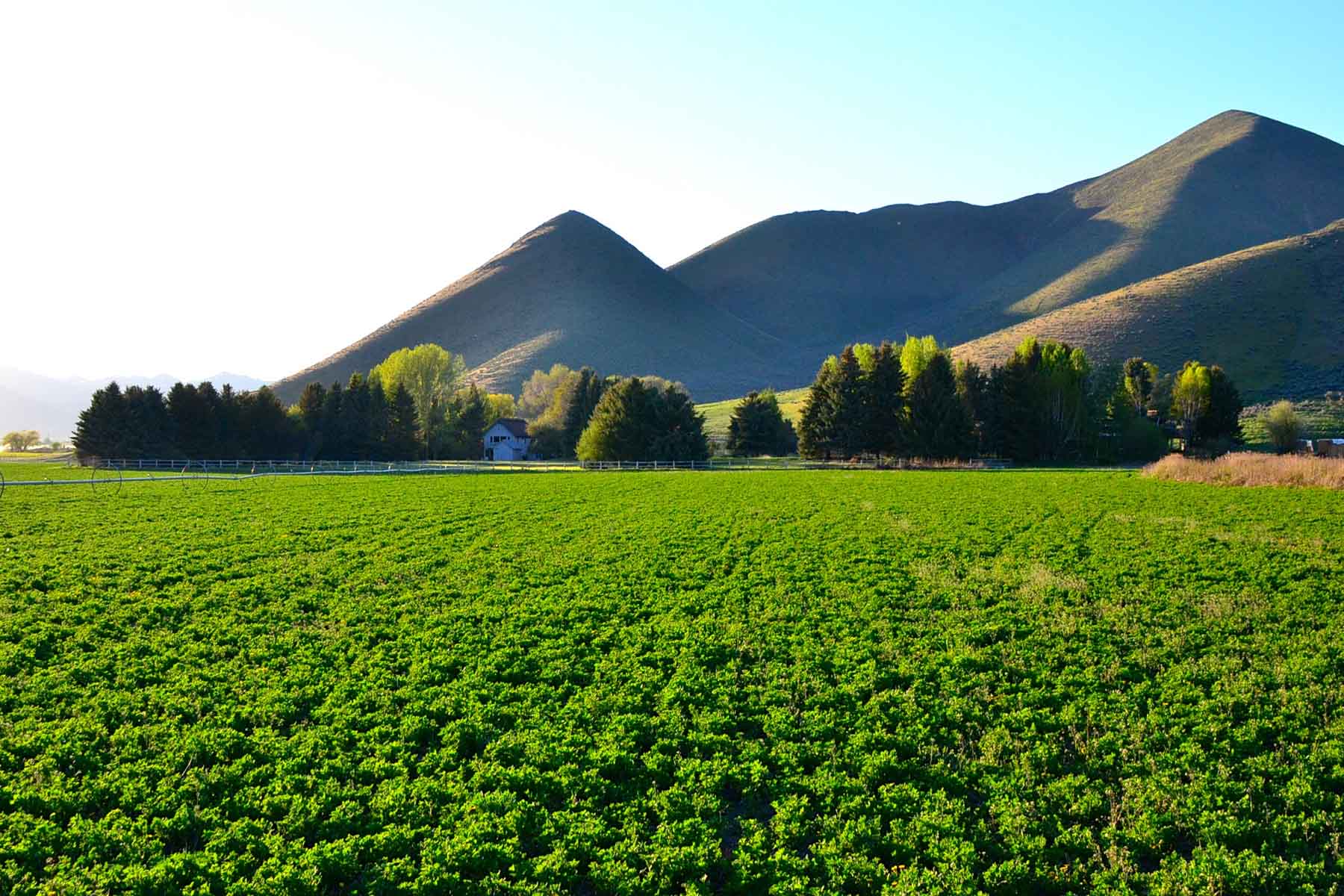 Cove Ranch property picture 26 of 57