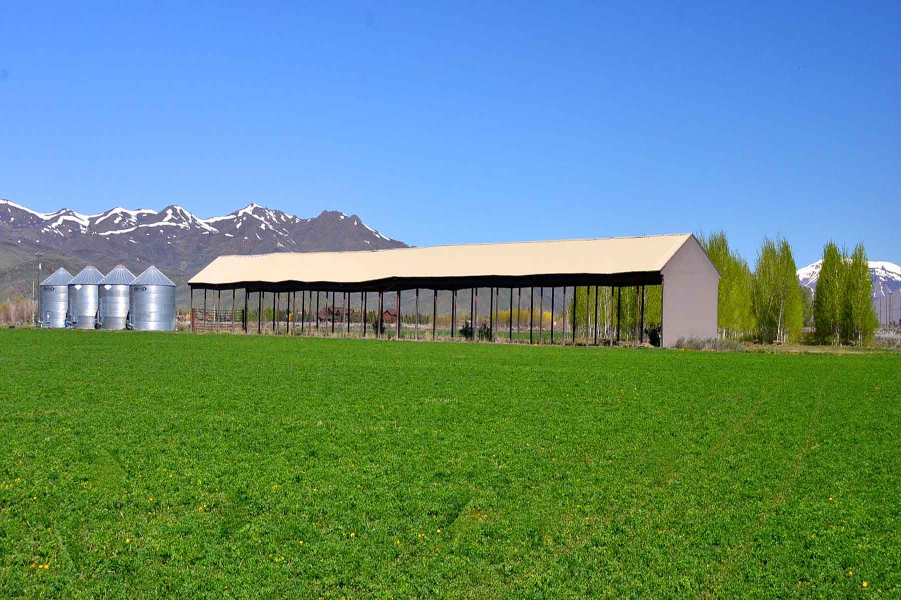 Cove Ranch property picture 39 of 57