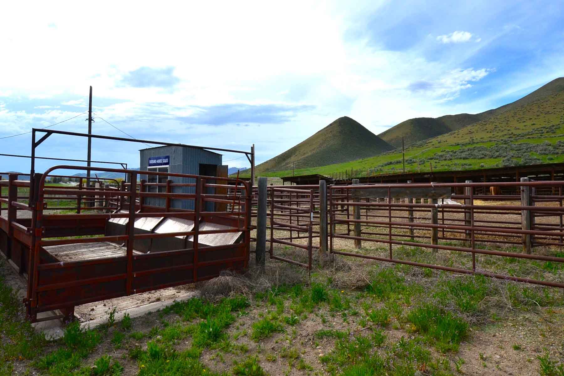 Cove Ranch property picture 41 of 57