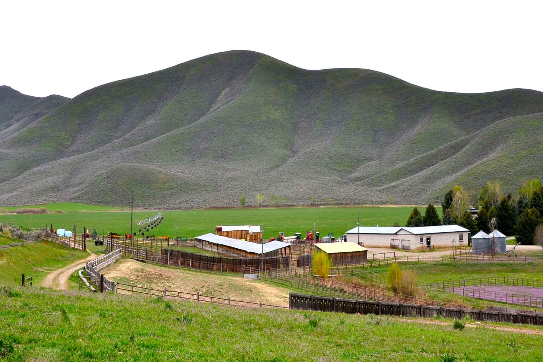 Cove Ranch property picture 42 of 57