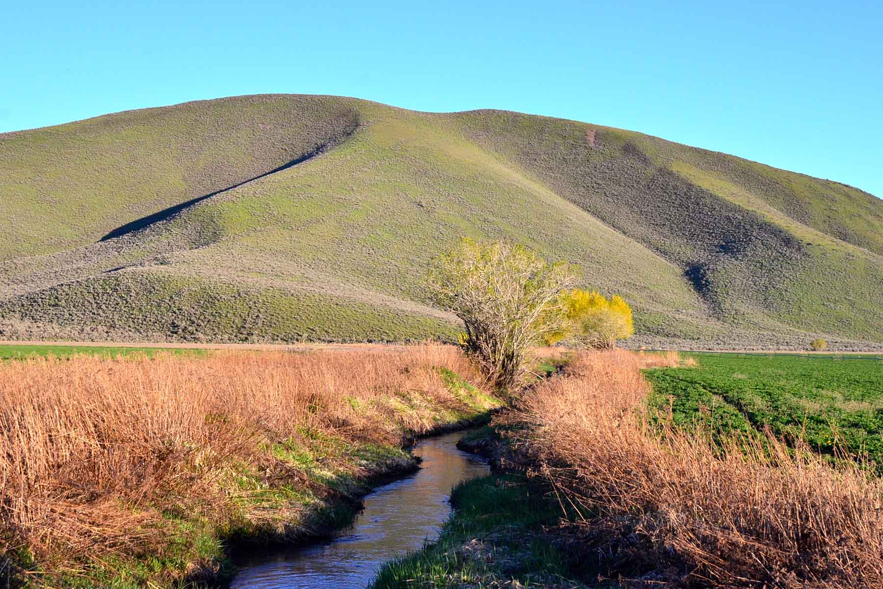 Cove Ranch property picture 44 of 57