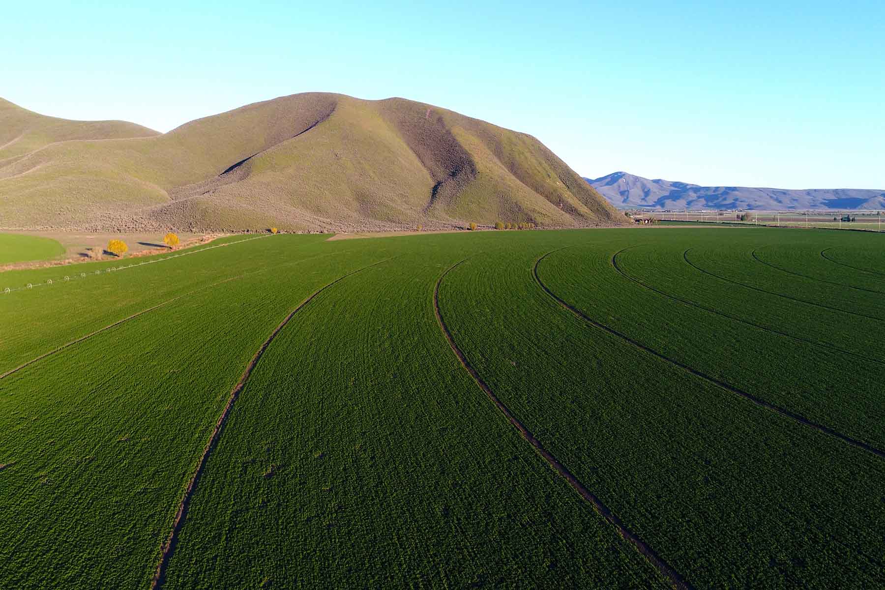 Cove Ranch property picture 45 of 57