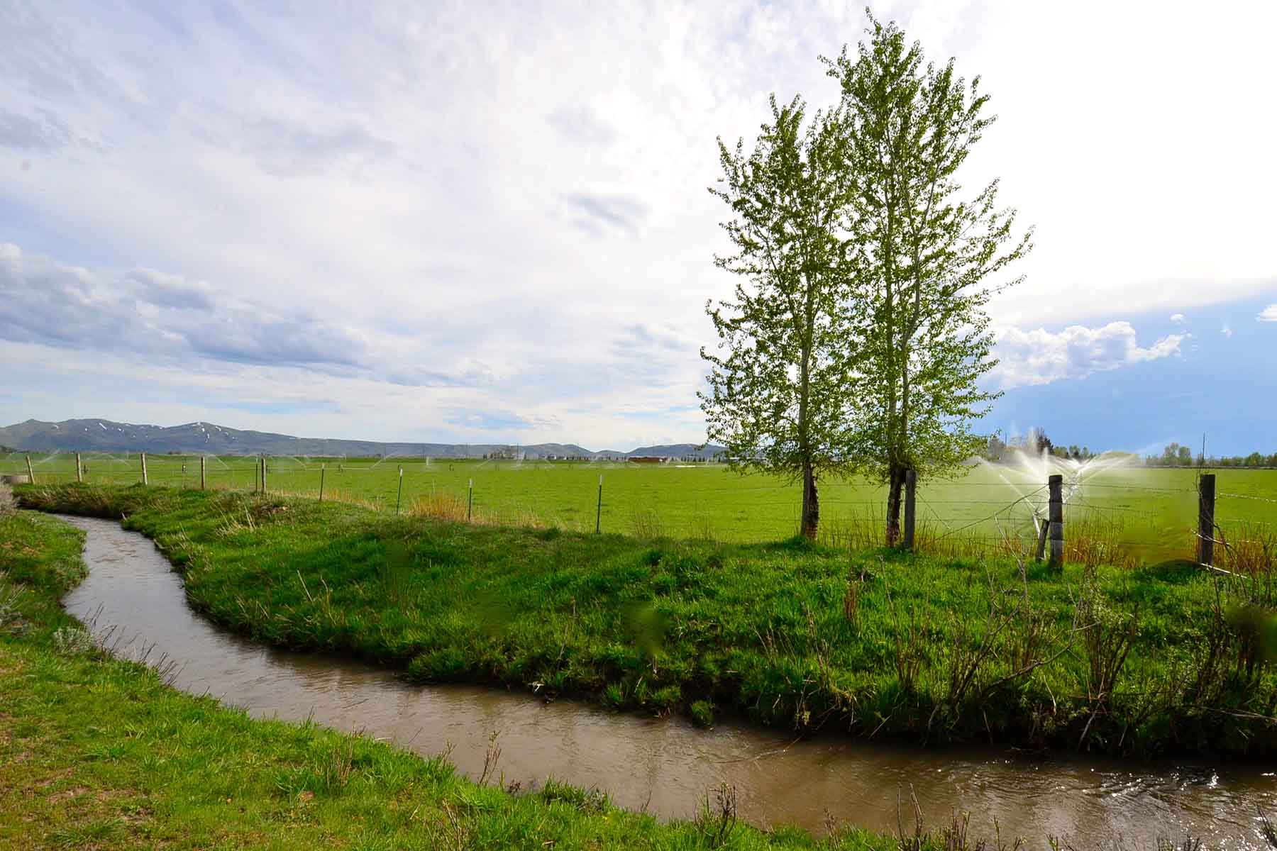 Cove Ranch property picture 46 of 57