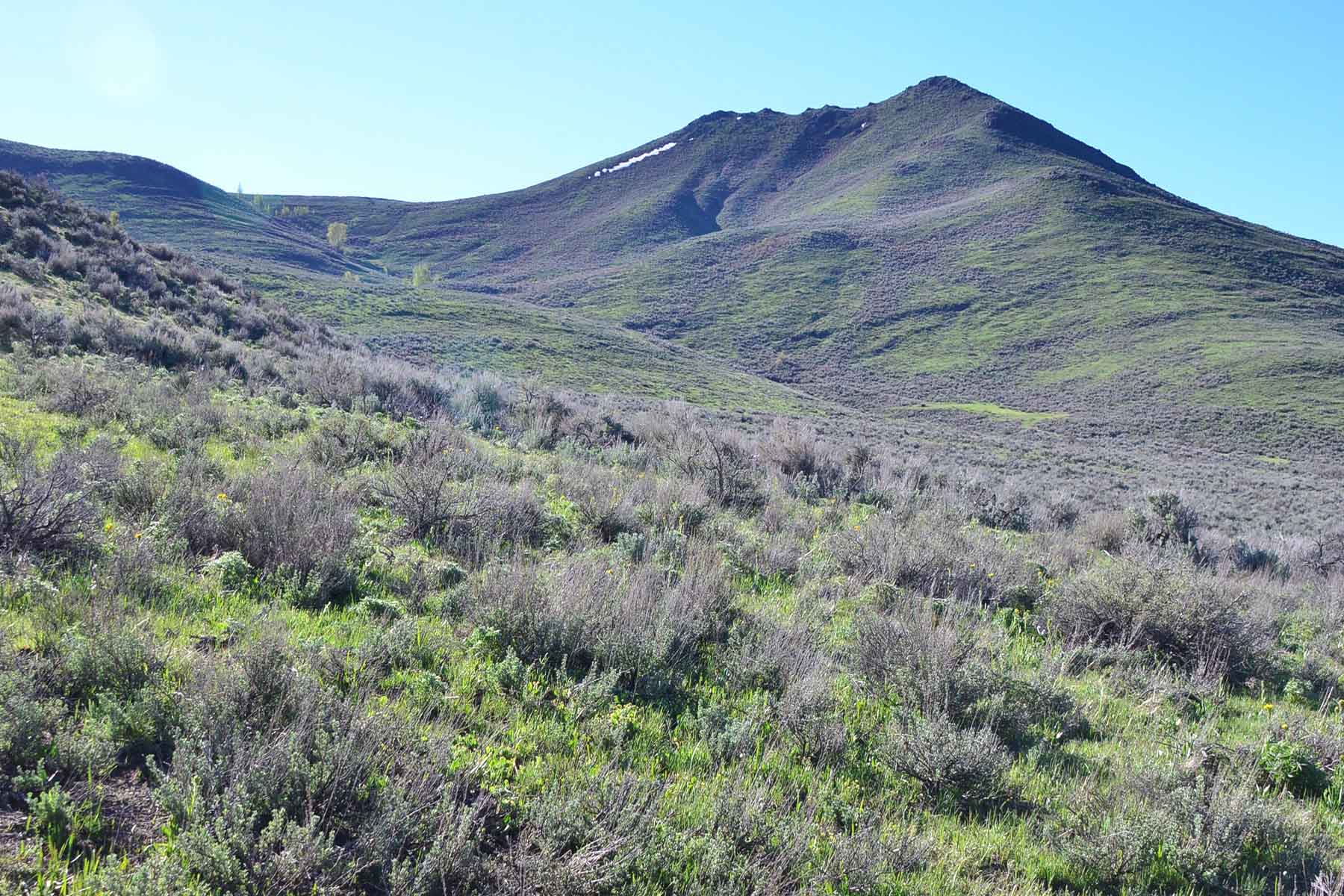 Cove Ranch property picture 55 of 57