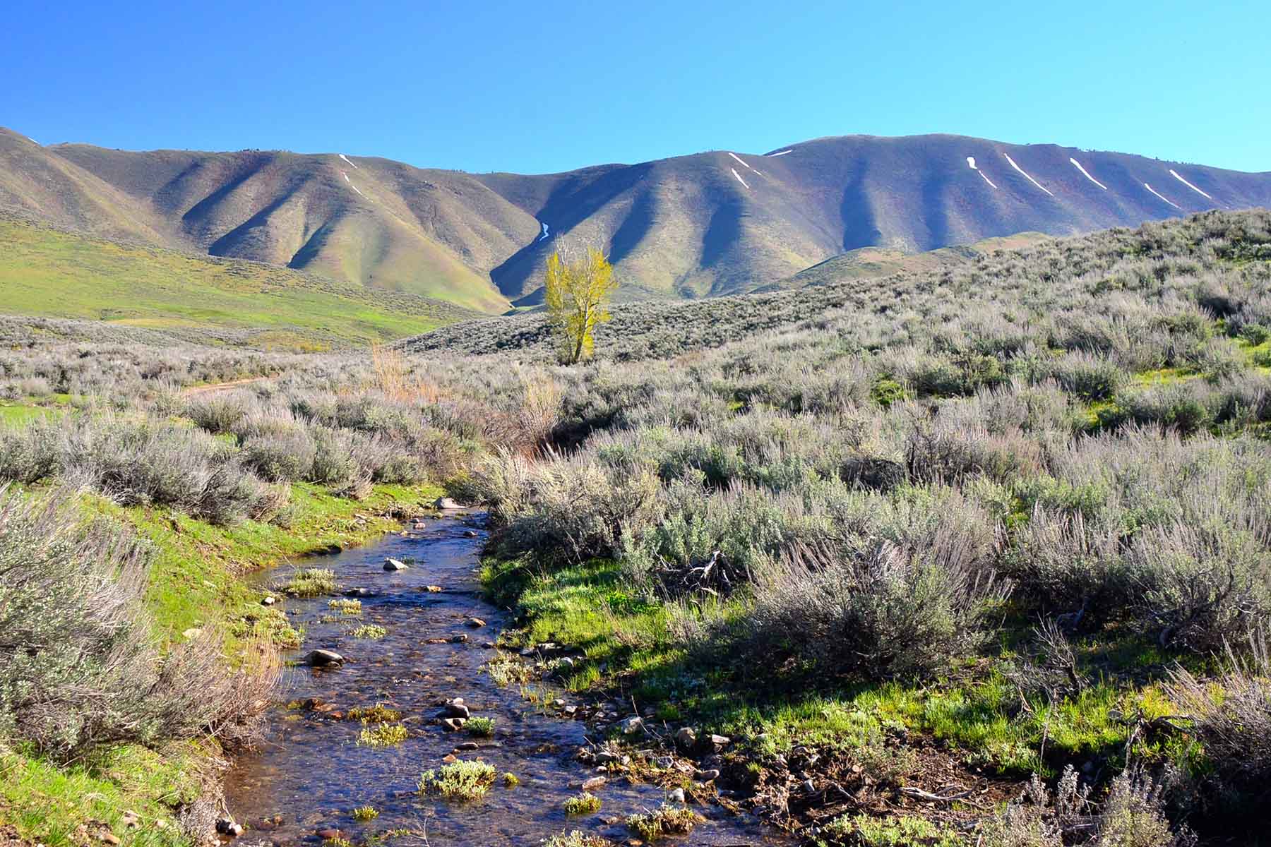 Cove Ranch property picture 56 of 57