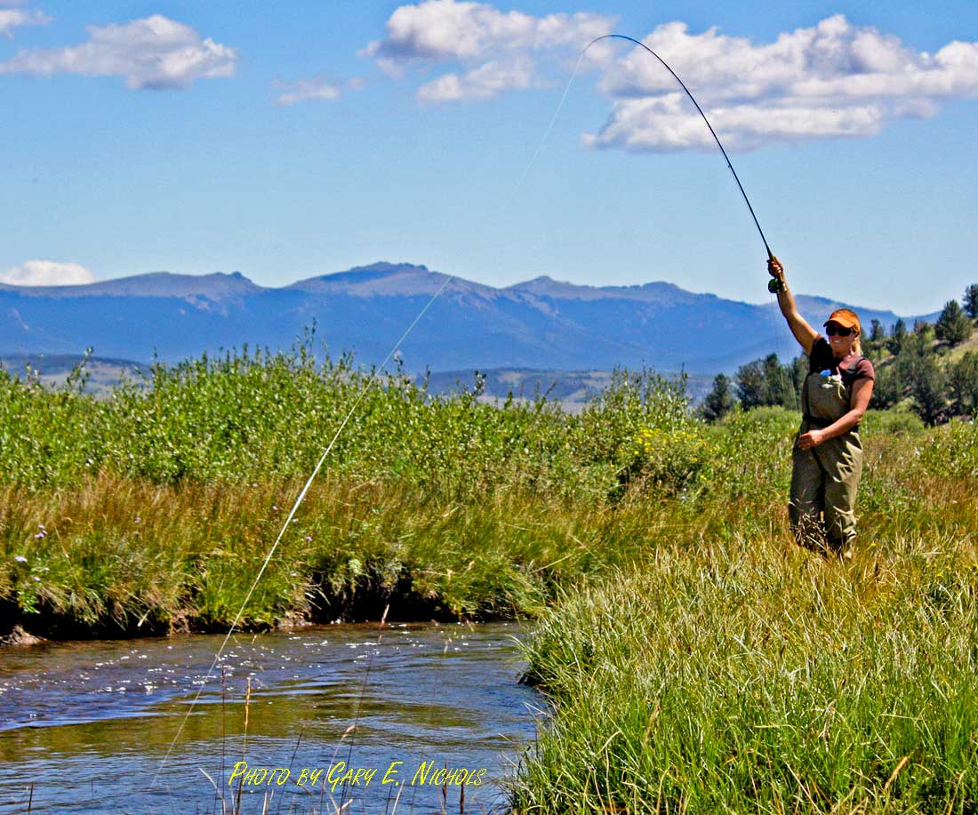 Tarryall Notch Ranch property picture 6 of 71