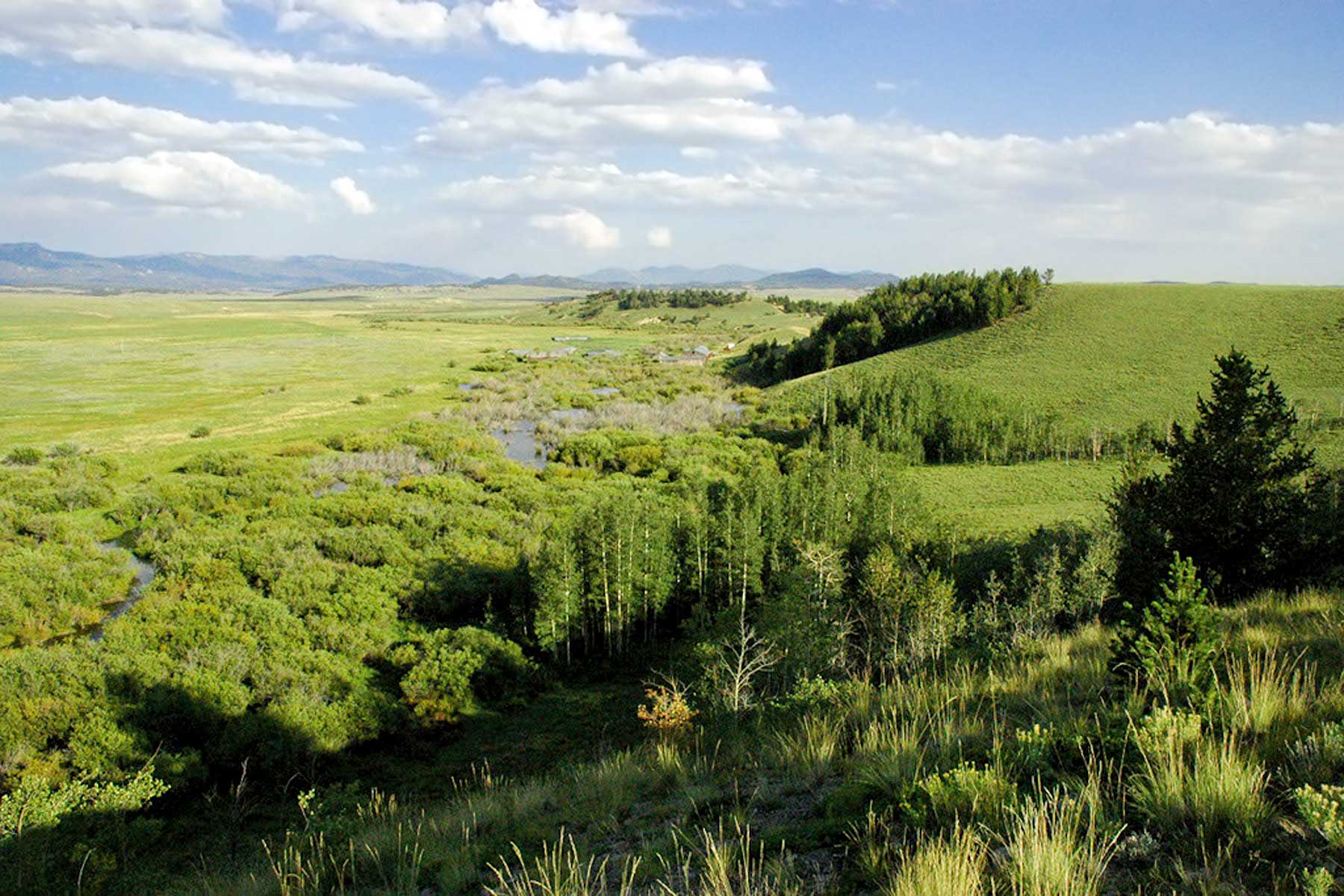 Tarryall Notch Ranch property picture 54 of 71