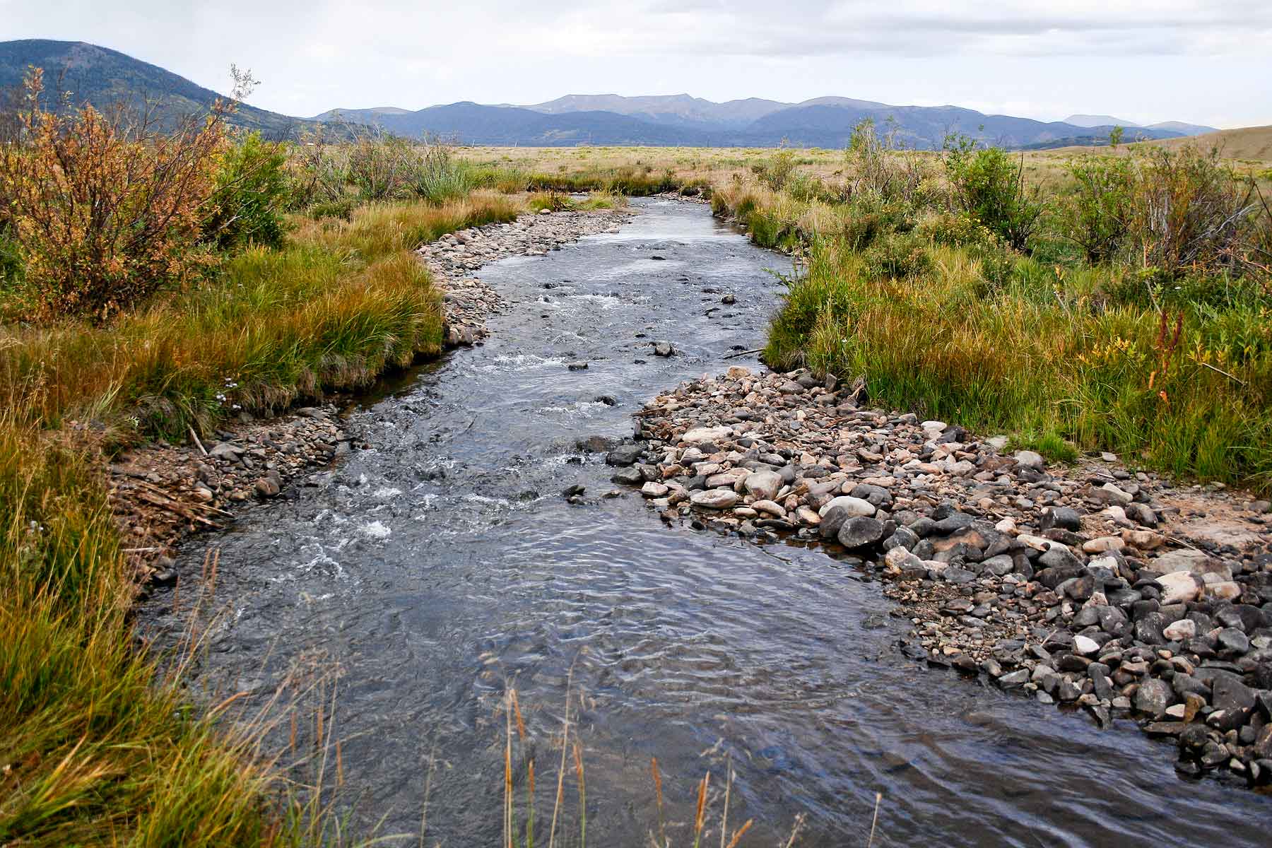 Tarryall Notch Ranch property picture 52 of 71