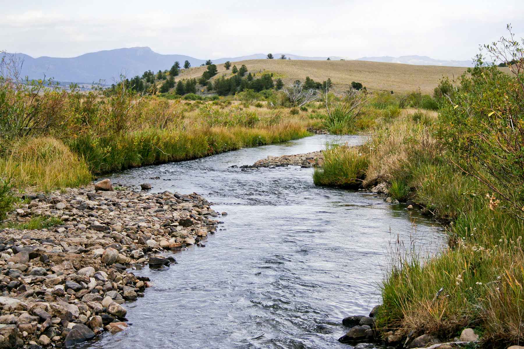 Tarryall Notch Ranch property picture 51 of 71