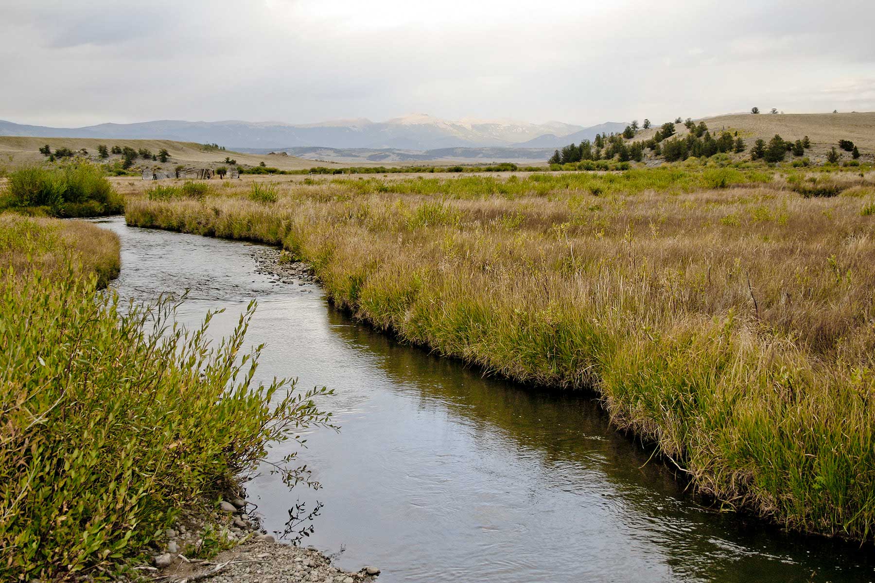 Tarryall Notch Ranch property picture 50 of 71