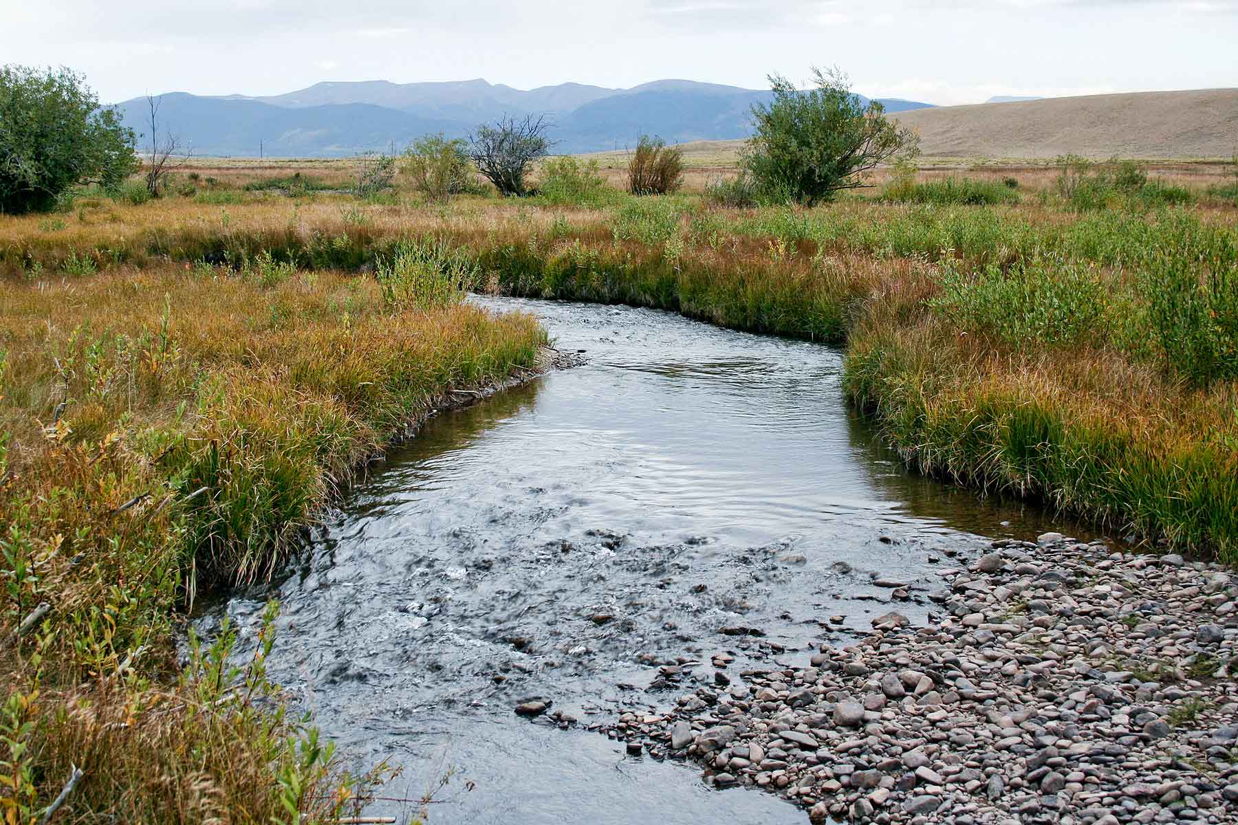 Tarryall Notch Ranch property picture 49 of 71