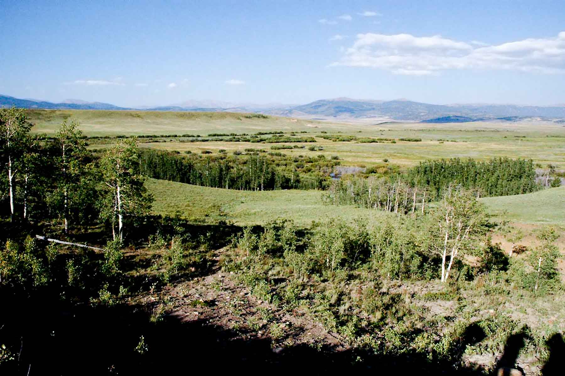 Tarryall Notch Ranch property picture 47 of 71