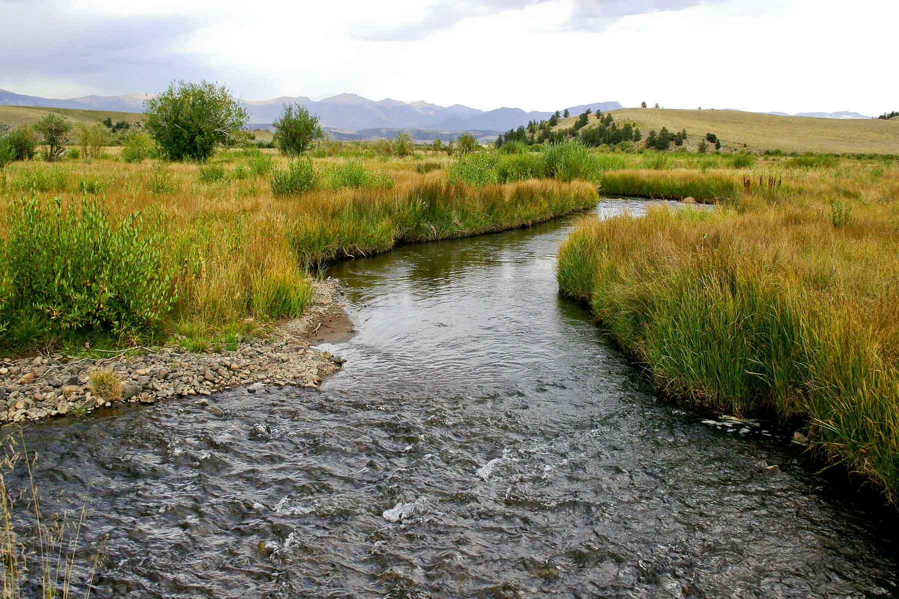 Tarryall Notch Ranch property picture 46 of 71