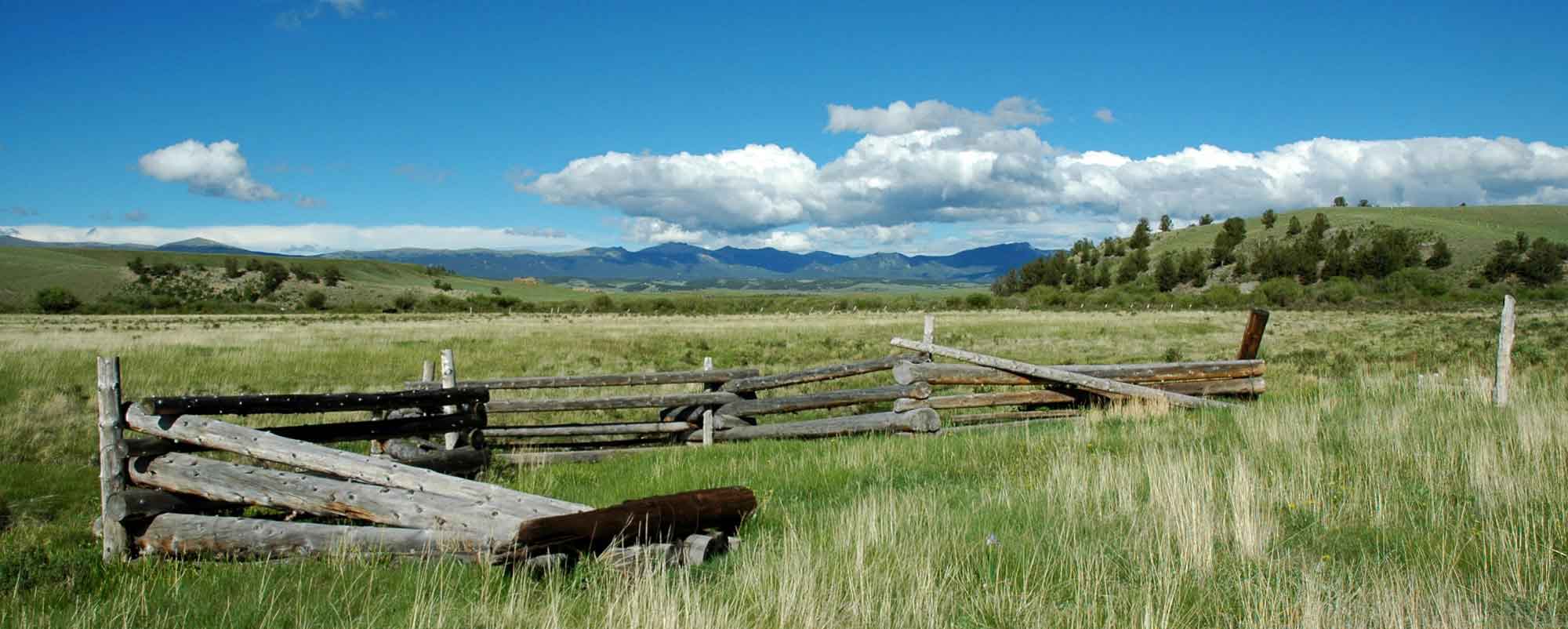 Tarryall Notch Ranch property picture 43 of 71
