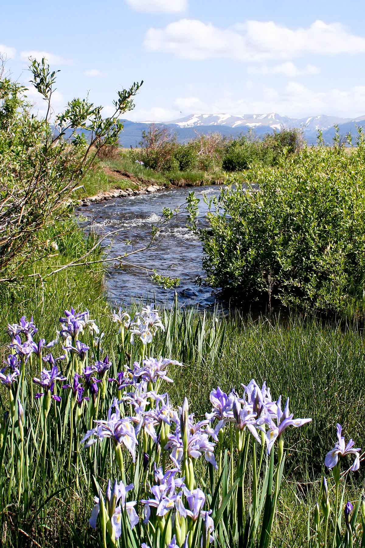 Tarryall Notch Ranch property picture 42 of 71